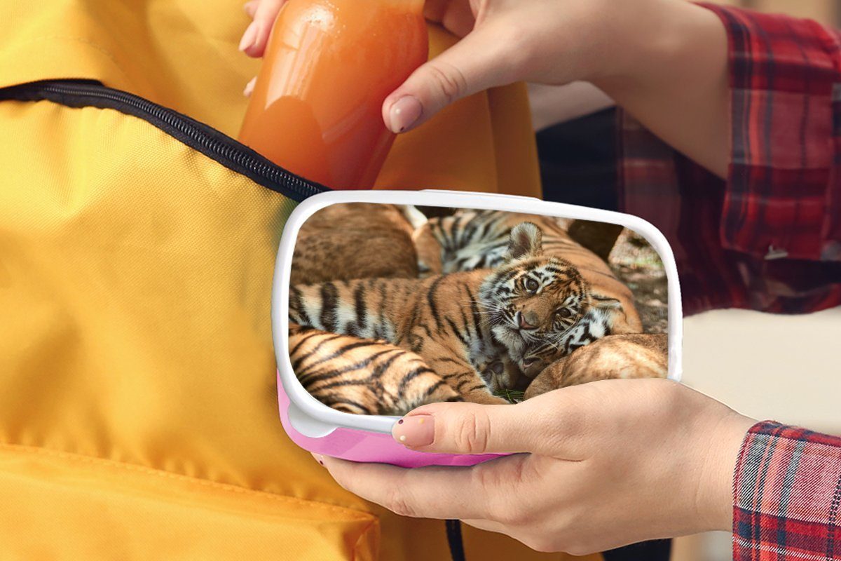 Tiger Brotbox - Lunchbox Kunststoff, Snackbox, Kunststoff Kinder, für Erwachsene, Sonne, rosa MuchoWow Junglöwe Brotdose - Mädchen, (2-tlg),