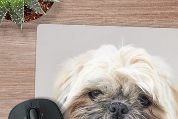MuchoWow Gaming Mauspad Portrait Nahaufnahme eines Shih Tzu Hundes (1-St), Mousepad mit Rutschfester Unterseite, Gaming, 40x40 cm, XXL, Großes