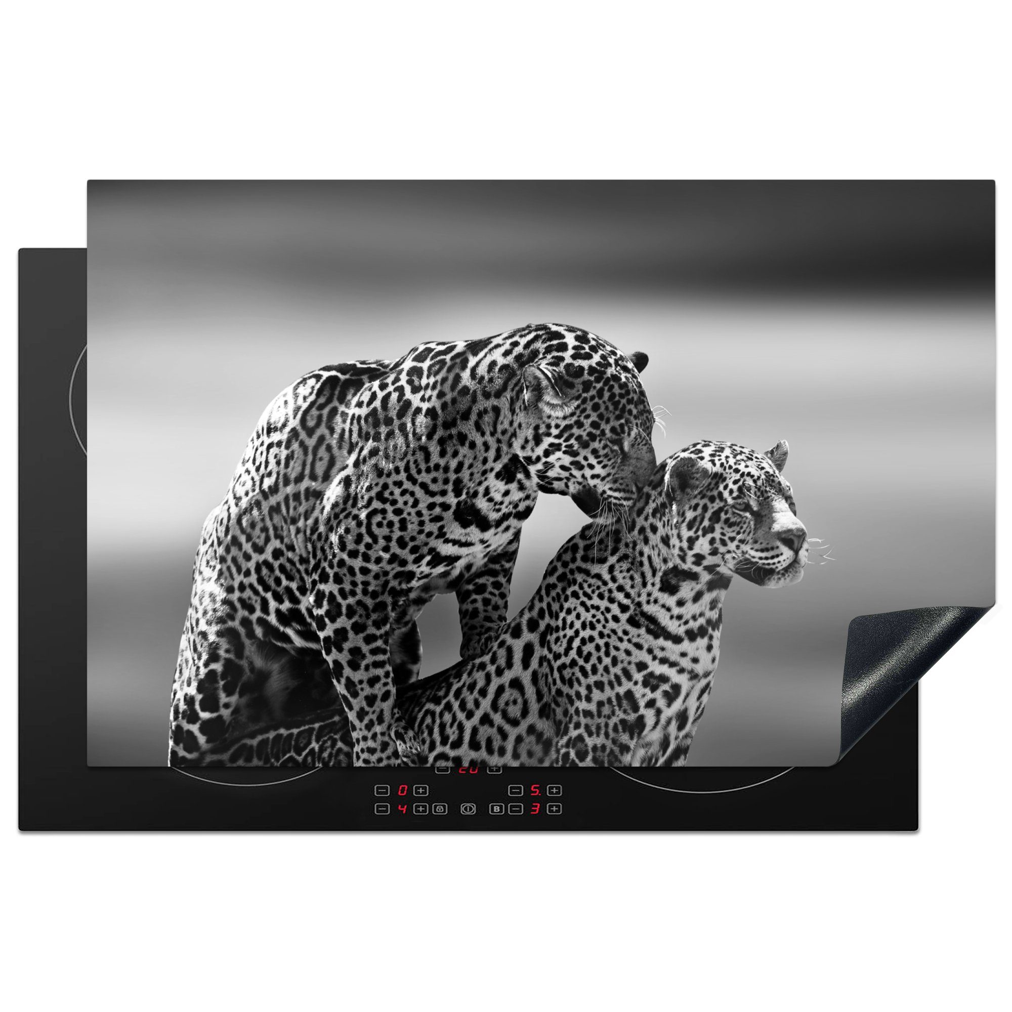 MuchoWow Herdblende-/Abdeckplatte Jaguar - Schwarz und Weiß - Natur, Vinyl, (1 tlg), 81x52 cm, Induktionskochfeld Schutz für die küche, Ceranfeldabdeckung