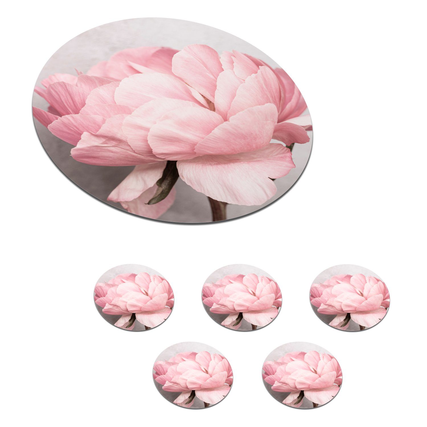 MuchoWow Glasuntersetzer Blumen - Rosa - Natur - Pflanze, Zubehör für Gläser, 6-tlg., Getränkeuntersetzer, Rund, Tassenuntersetzer Kork, 10x10 cm