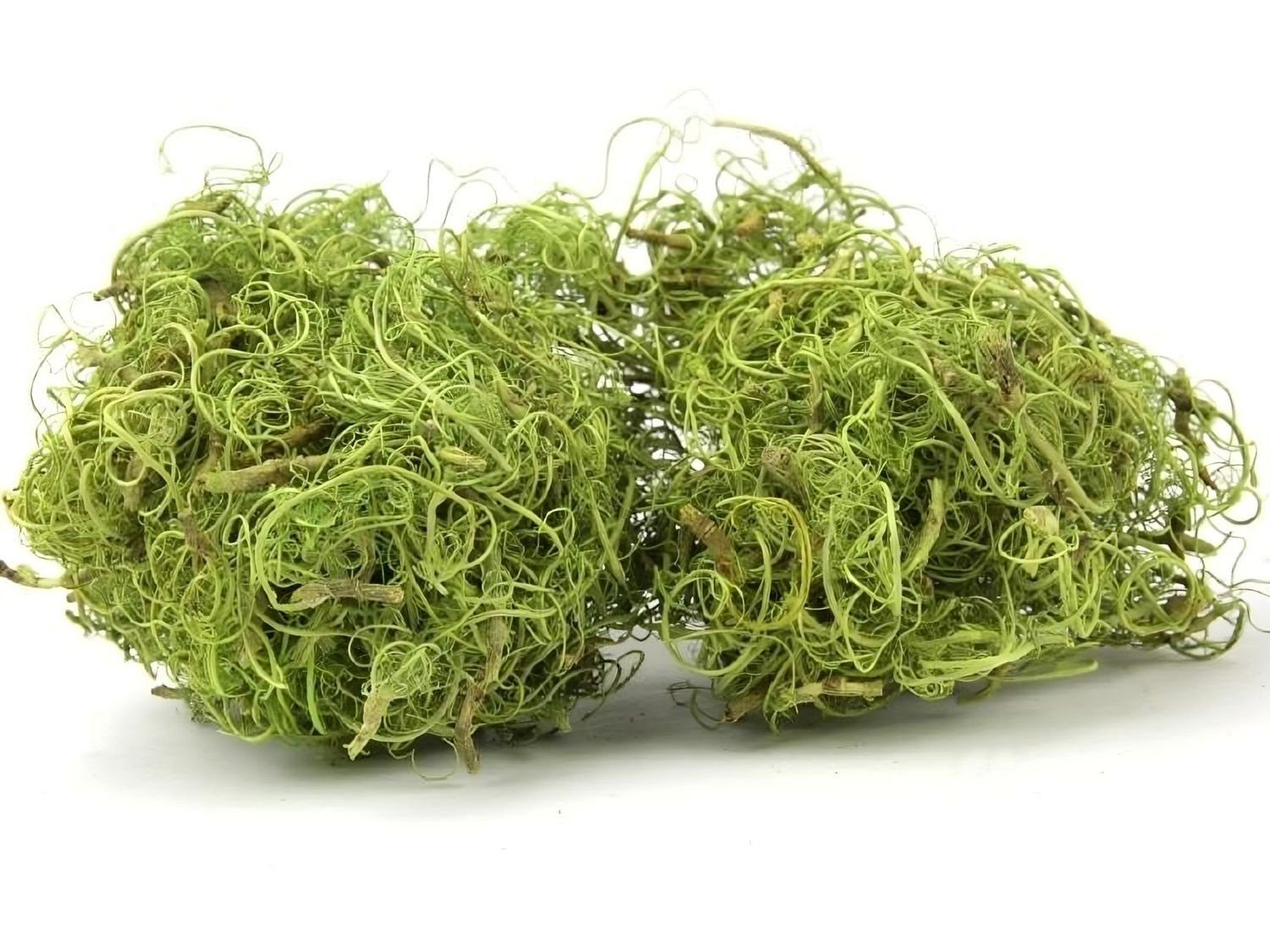 Bastelnaturmaterial Curly Moos in Grün, Gewicht ca. 50g Deko-Moos