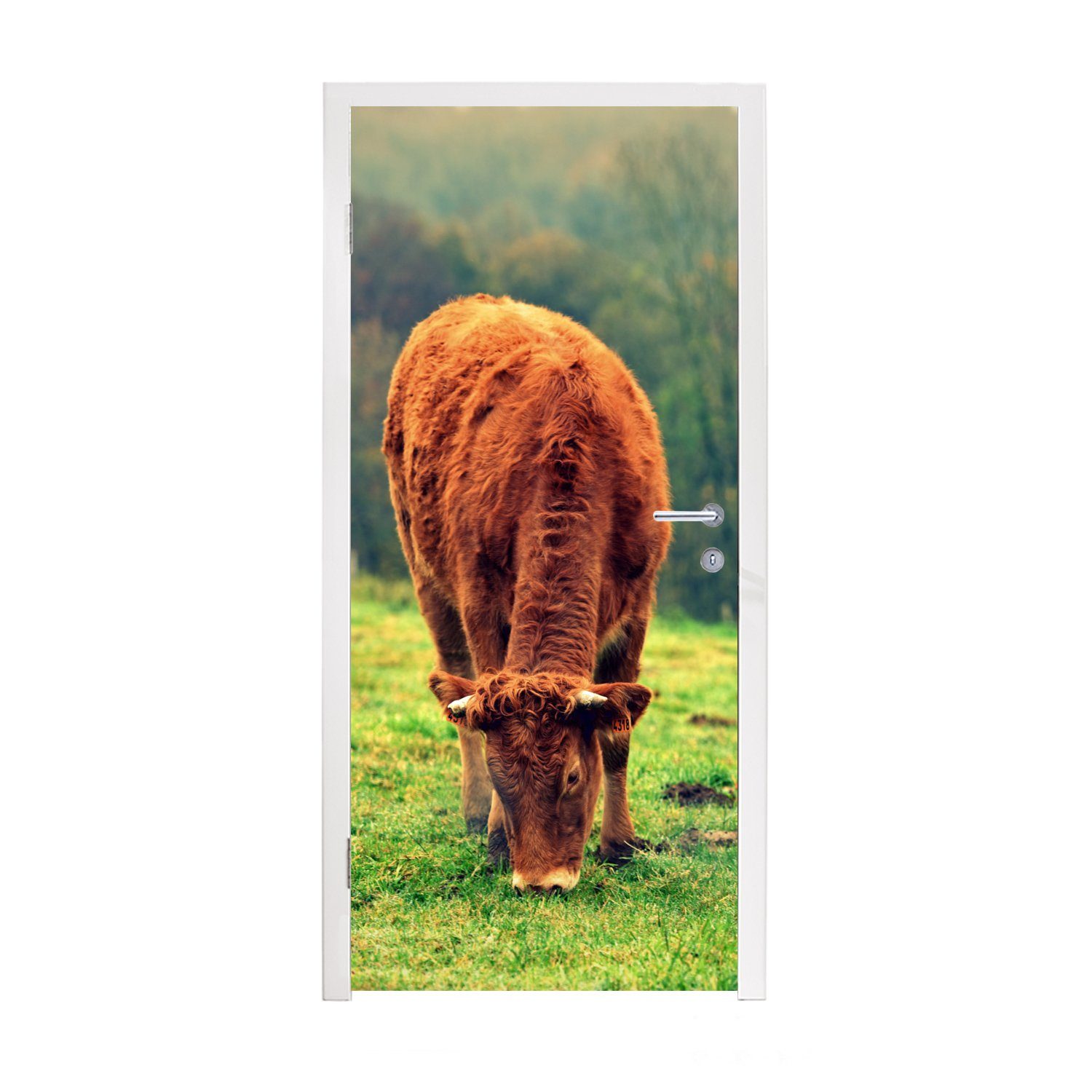 Fototapete - (1 - bedruckt, 75x205 St), für Kuh Baum Türtapete Tür, MuchoWow Matt, Türaufkleber, Braun Natur, - cm