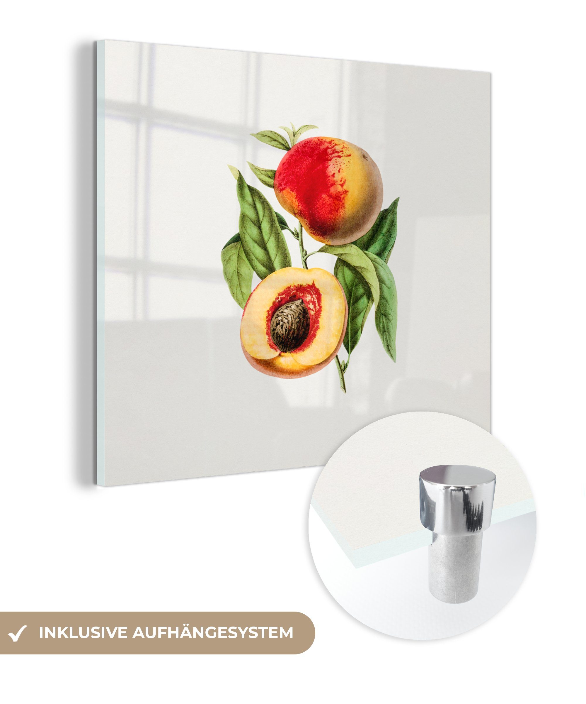 MuchoWow Acrylglasbild Pfirsich - Frucht - Blatt, (1 St), Glasbilder - Bilder auf Glas Wandbild - Foto auf Glas - Wanddekoration