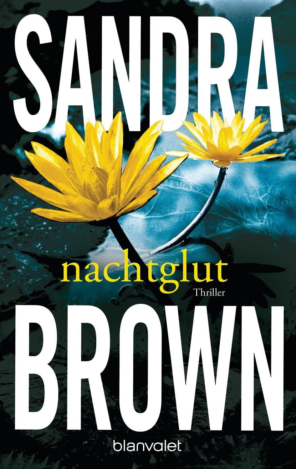 Nachtglut / Sandra Brown