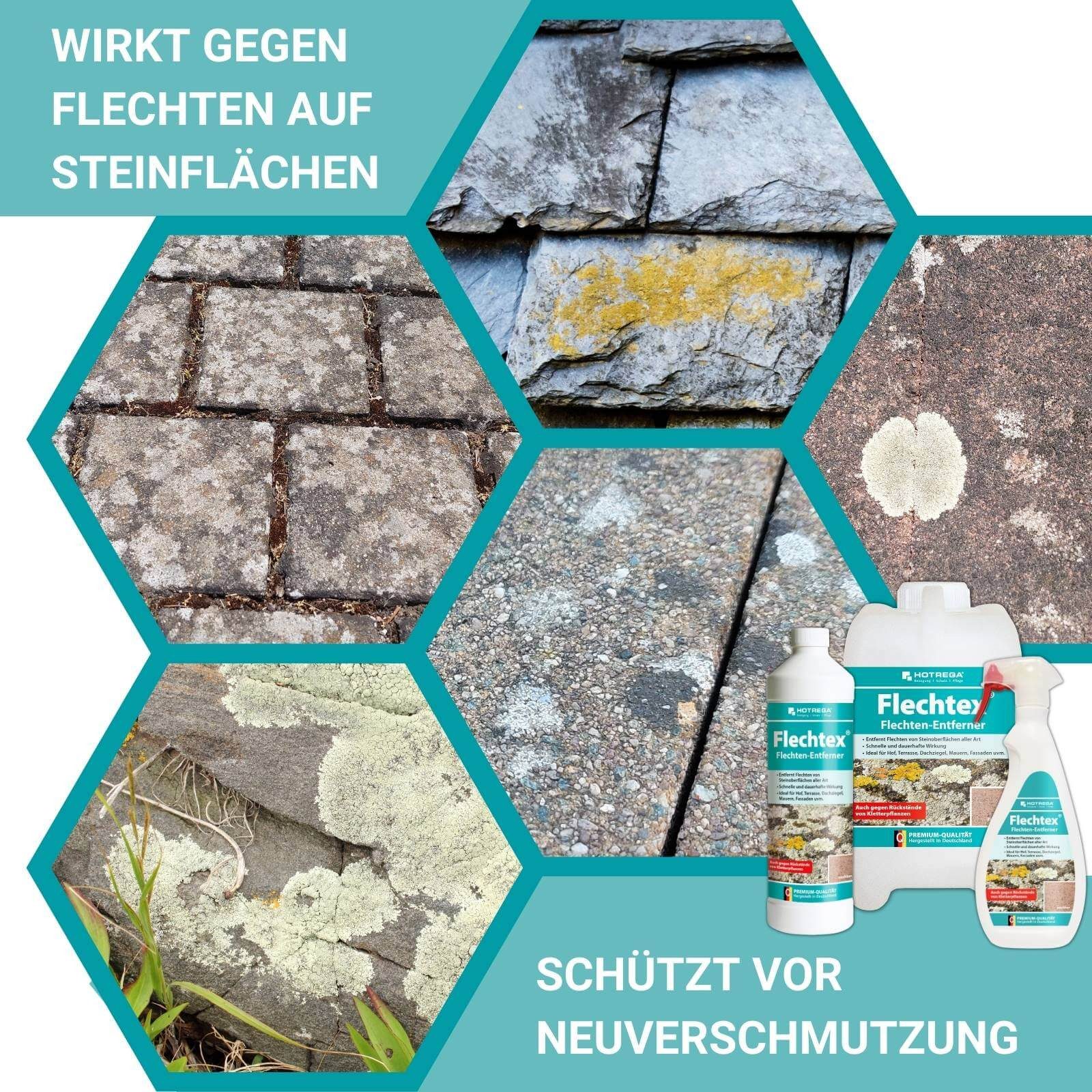 HOTREGA® Flechtex Flechten Entferner Flechtenentferner 750ml mit Wurzelbürste Grünbelagentferner