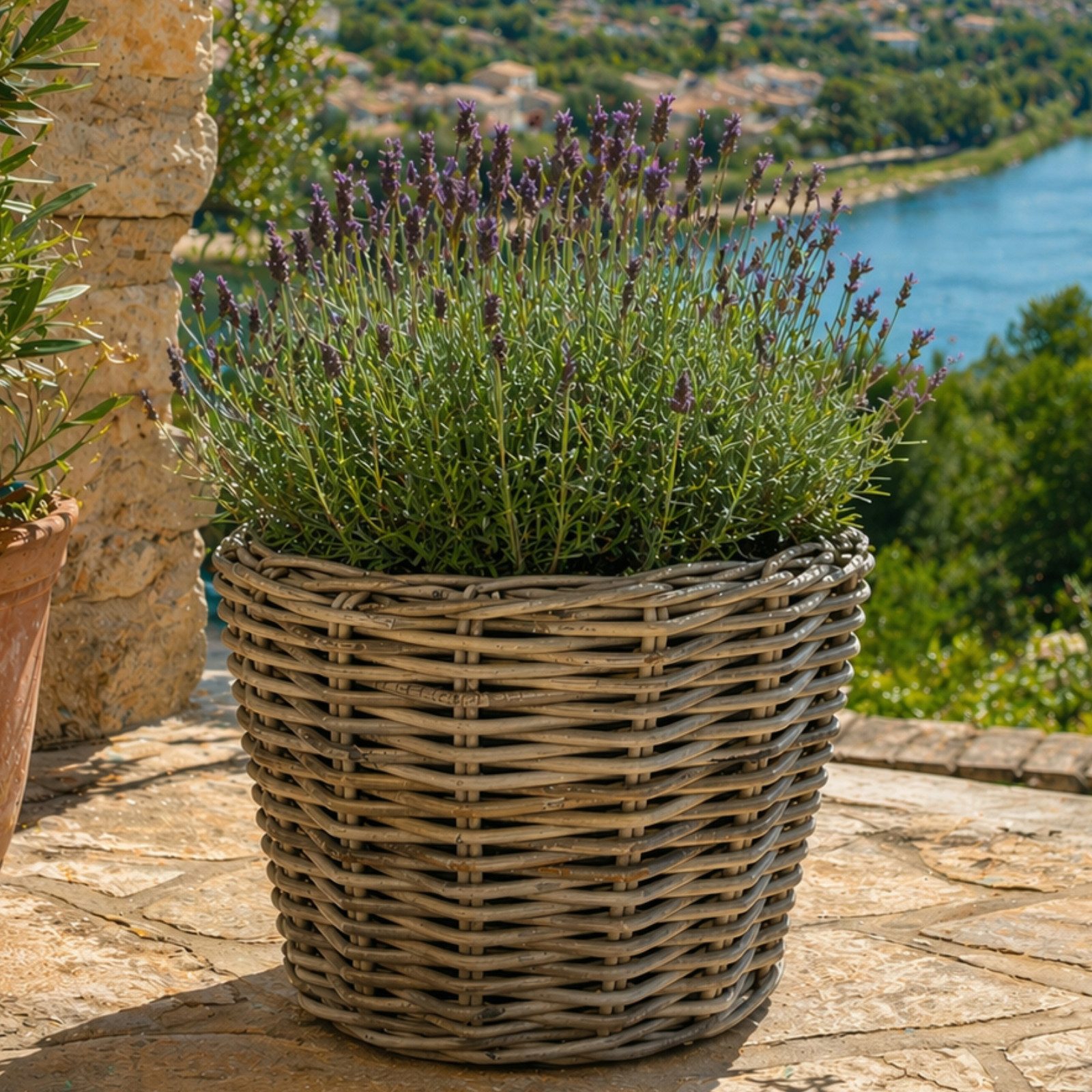 Van der Leeden Blumentopf Blumenkorb Pflanzkorb 43x33cm Rattan Weide Sylter Korb Drypot 20L (1 St), Indoor & Outdoor, Rattan, 20 L, Naturprodukt, incl. Kunststoffeimer