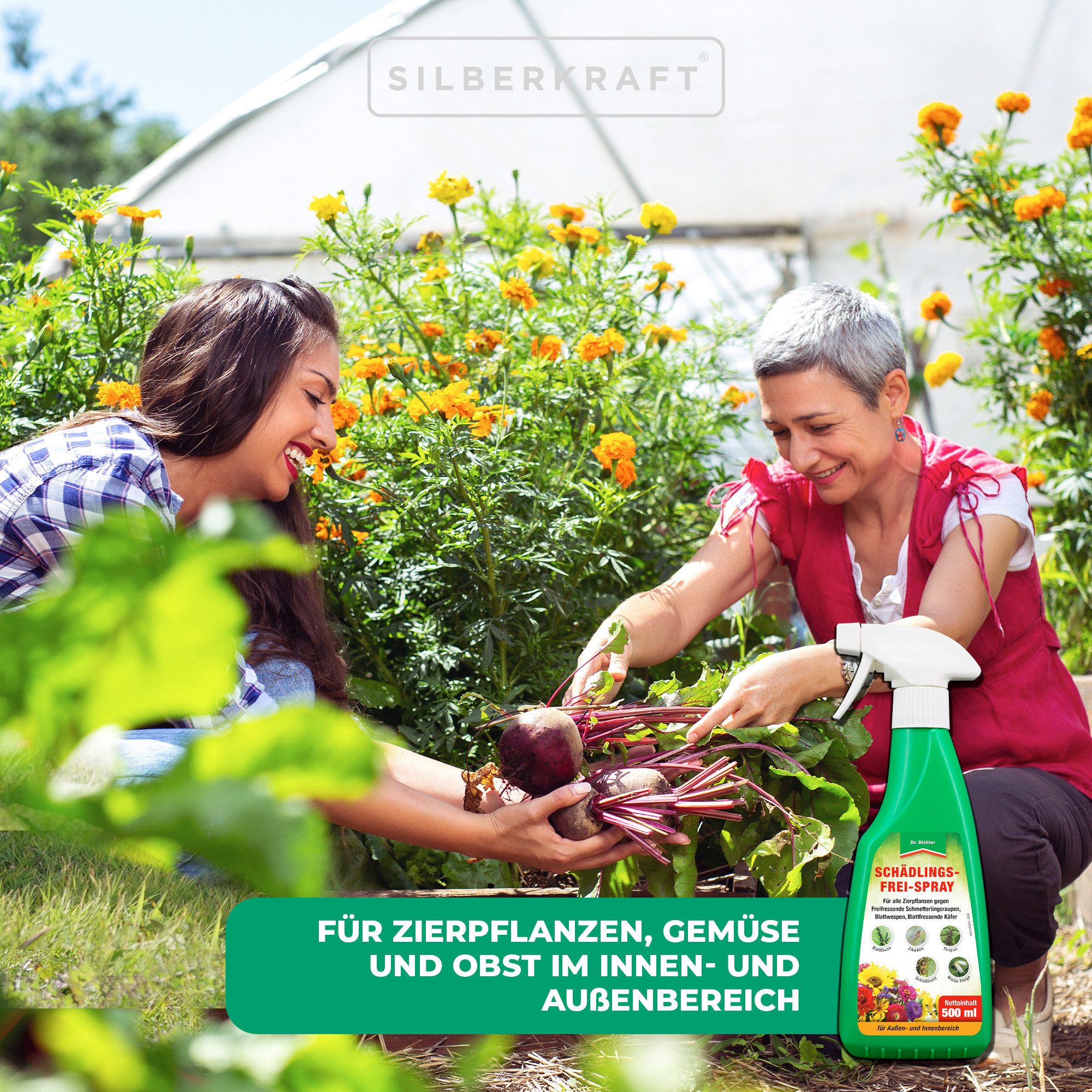 Dr. Stähler Insektenspray Schädlingsfrei-Spray - Effektives Pflanzenschutzmittel gegen Insekten, 500 ml, Effektiver Schutz Einfache Anwendung Ganzjähriger Einsatz Bienenfreundlich, 1-St., 500ml, mit Natur-Pyrethrum & Rapsöl, Vielseitiger Schutz für Zier- und Nutzpflanzen, Anwendungsfertig