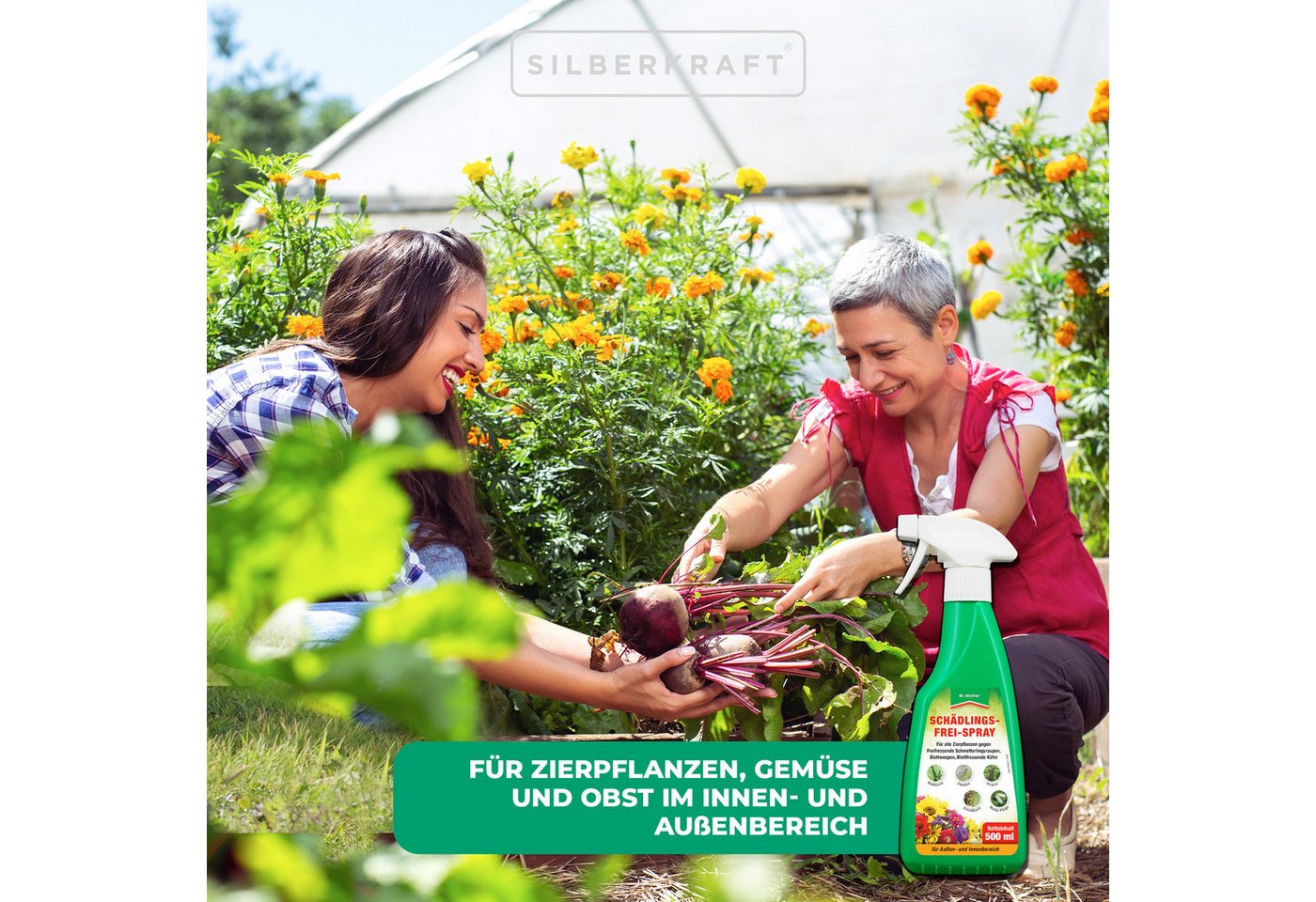 Thumbnail - Silberkraft Insektenspray Schädlingsfrei-Spray - Effektives Pflanzenschutzmittel gegen Insekten, 500 ml, 4-St., 500ml, m...