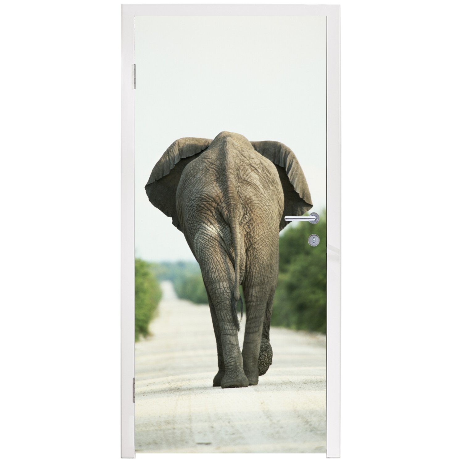 MuchoWow Türtapete Elefant - Natur, - cm 75x205 Tür, Fototapete (1 Kröte - Matt, bedruckt, Türaufkleber, Tiere für St)
