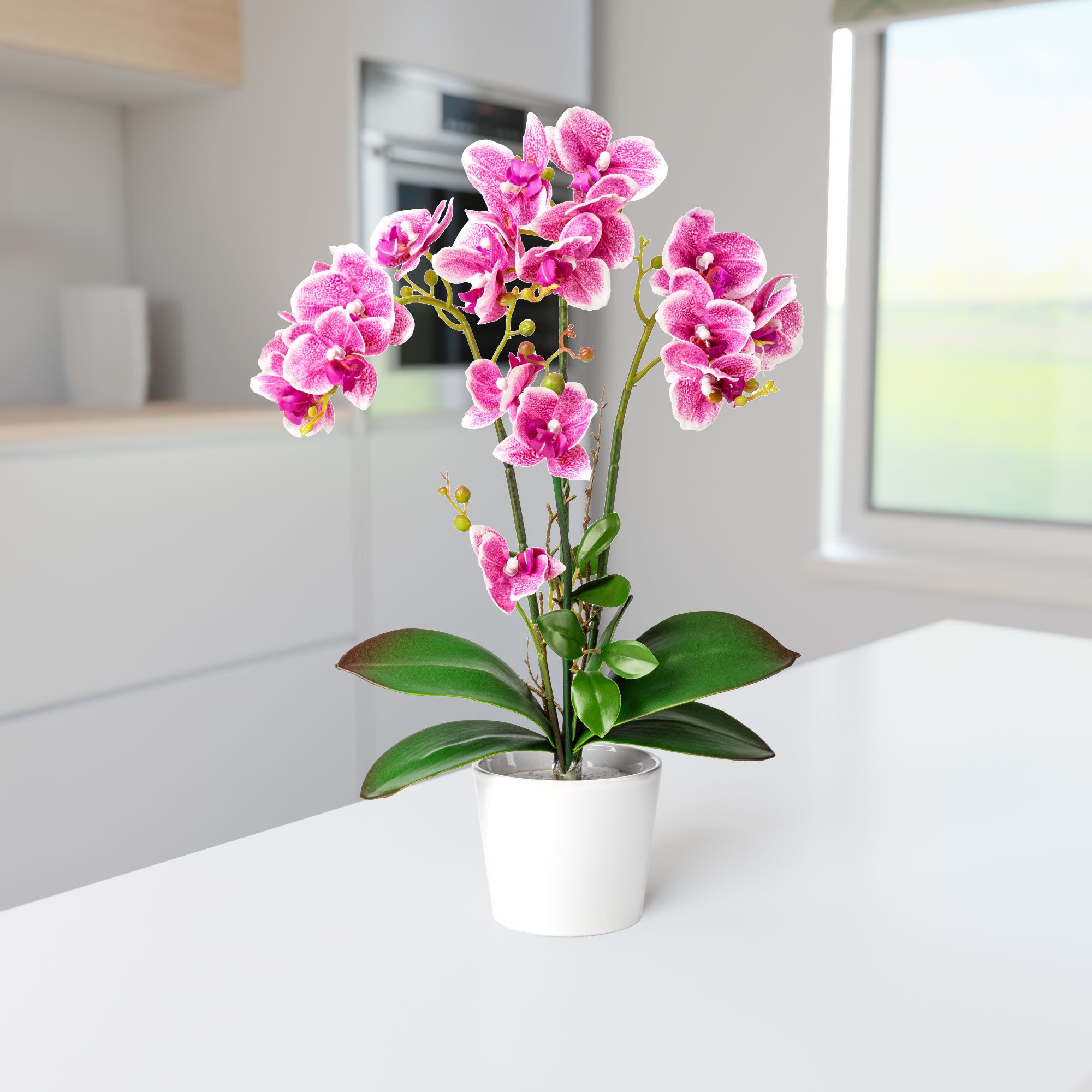 Kunstorchidee PASCH® Orchidee künstlich wie echt (46cm) in Hochglanz-Keramiktopf Orchidee, PASCH, Real Touch – Bild 4 von 5