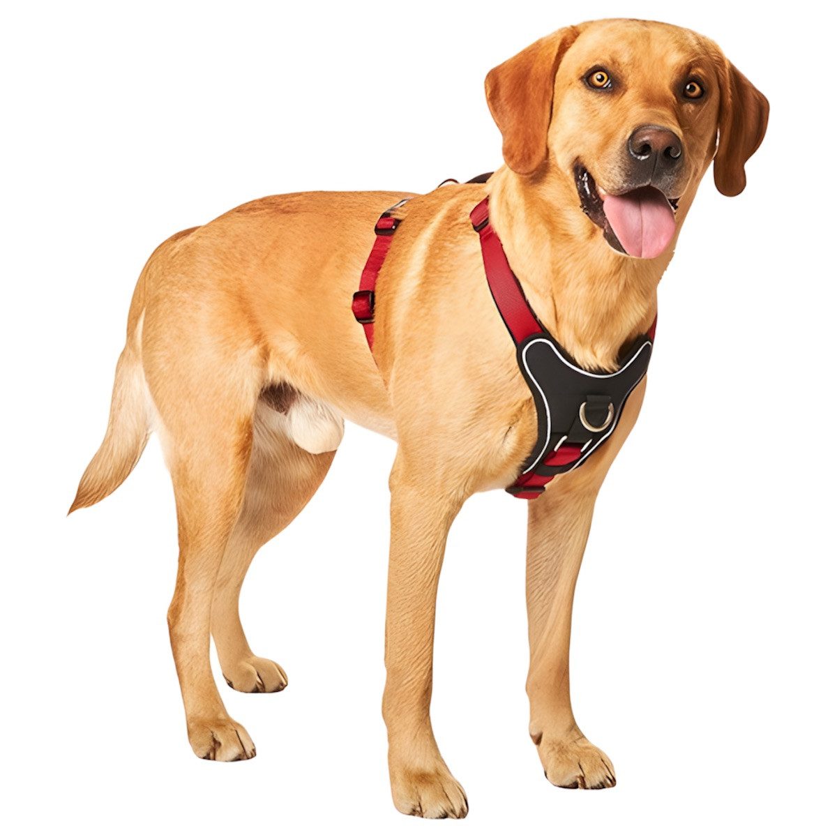 Wolters Hunde-Geschirr Geschirr Professional Comfort rot/schwarz