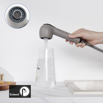 Auralum Küchenarmatur Ausziehbar Wasserhahn Mischbatterie Armatur Spültischarmatur Einhebel mit 2 Strahlarten, Grau
