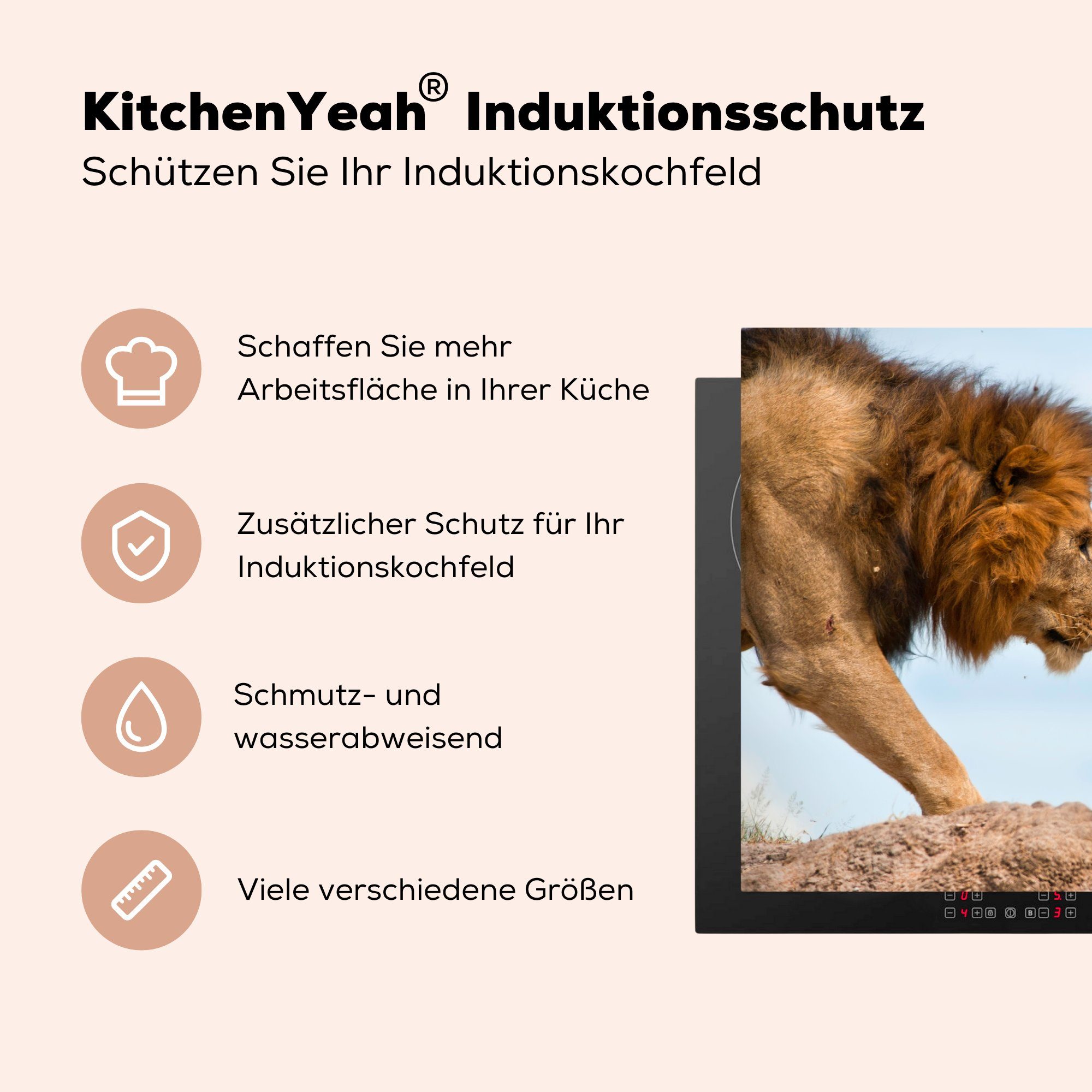 Induktionskochfeld die Schutz Löwen Herdblende-/Abdeckplatte (1 81x52 Ceranfeldabdeckung küche, - Vinyl, für cm, MuchoWow Freunde, tlg),
