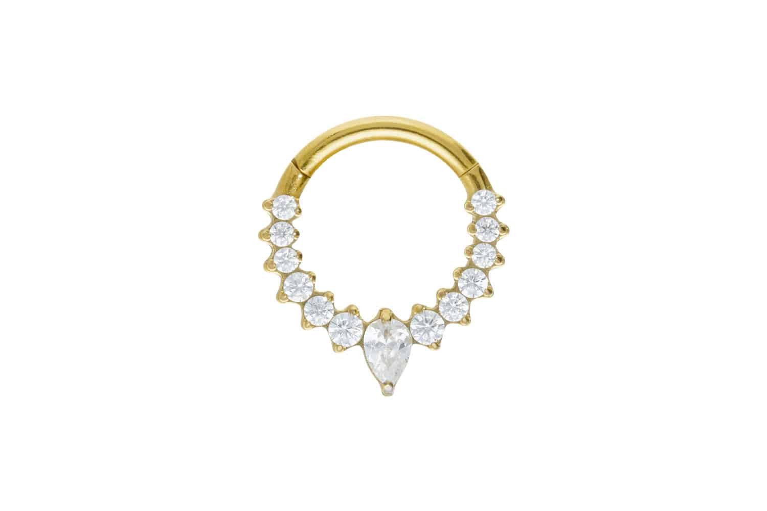 PIERCINGLINE Nasenpiercing Titan Segmentring Clicker EINGEFASSTE günstig online kaufen