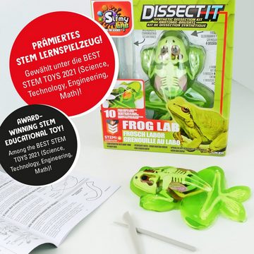 Slimy® Knetform-Set Lab Dissect-IT Frosch (1-tlg), Experimentieren & Forschen Sezier-Set - prämiertes MINT Schleim Labor