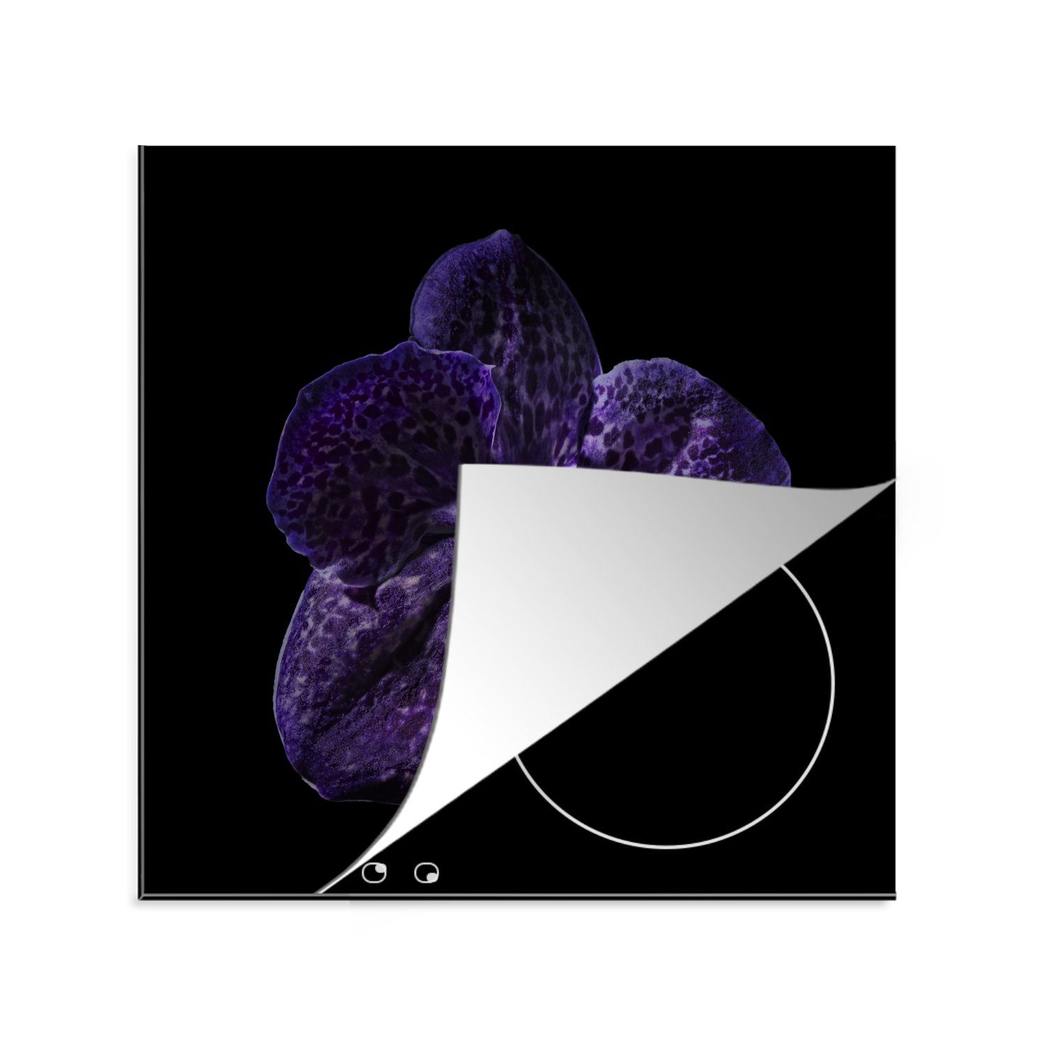 MuchoWow Herdblende-/Abdeckplatte Nahaufnahme einer lila Orchidee vor schwarzem Hintergrund, Vinyl, (1 tlg), 78x78 cm, Ceranfeldabdeckung, Arbeitsplatte für küche