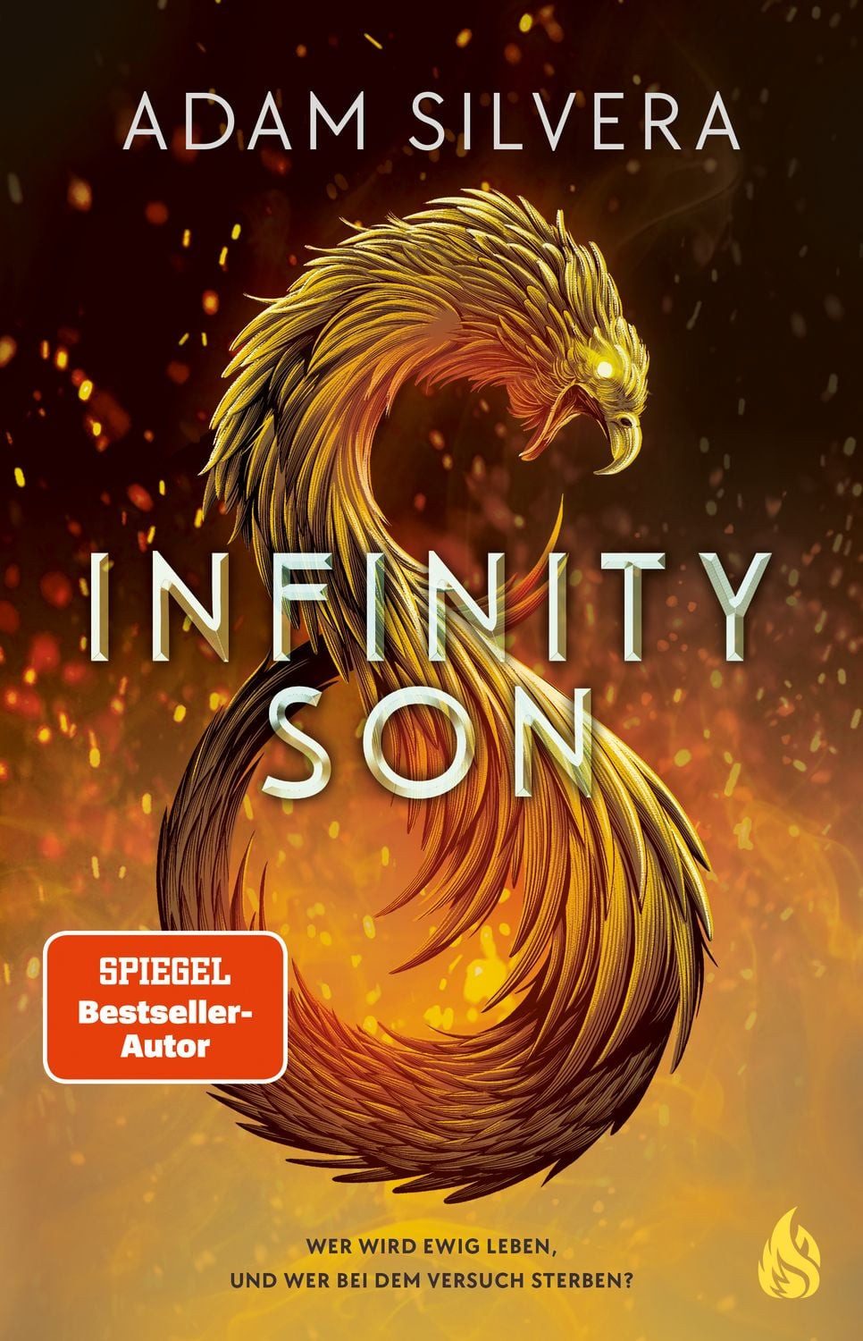 Infinity Son (Bd. 1) / Adam Silvera