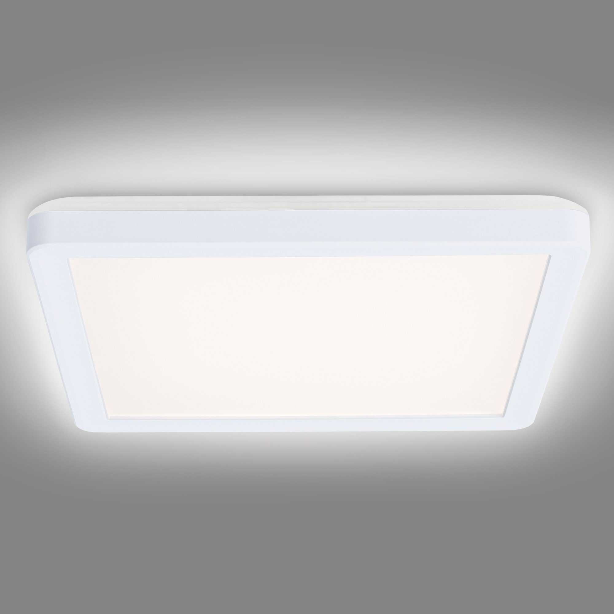 Navaris Deckenleuchte LED Deckenlampe mit Hintergrundbeleuchtung - 12 Watt - ultra flach