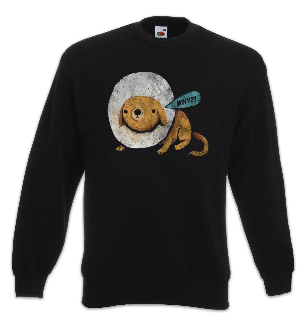 Urban Backwoods Sweatshirt Cone Dog Why Sweatshirt Deutscher Schäferhund Hund Tierarzt Hunde Dog (1-tlg) Dogs Dawg Liebe Love