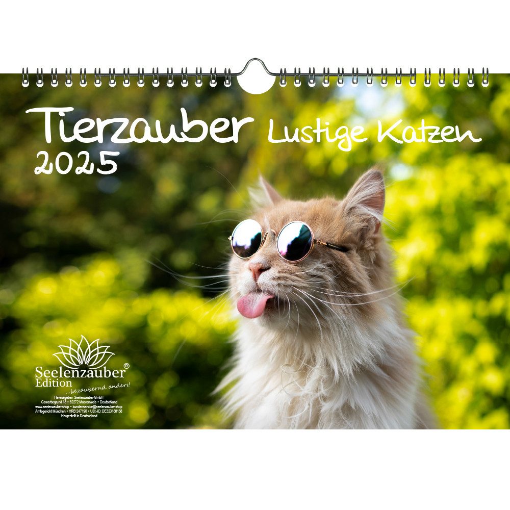 Seelenzauber Wandkalender Tierzauber lustige Katzen DIN A4 Kalender für 2025