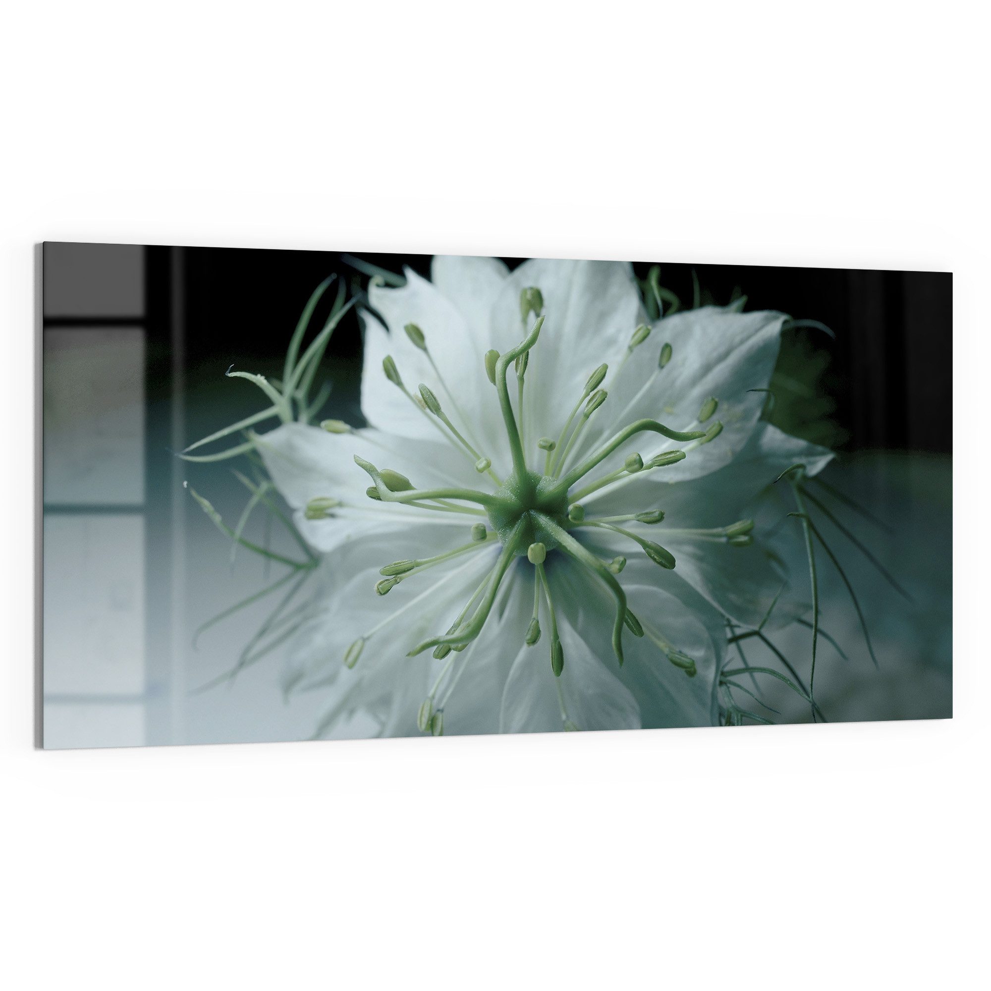 DEQORI Magnettafel 'Stille Schönheit', Whiteboard Pinnwand beschreibbar