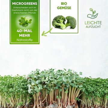 GreenEdge Kräutertopf Microgreens Kräuter-Pflanzset 5 Kräutersorten, Keimglas + Sieb (1 St., Aussaatschale Glas 14cm Edelstahl-Sieb 5x Kräutersamen)