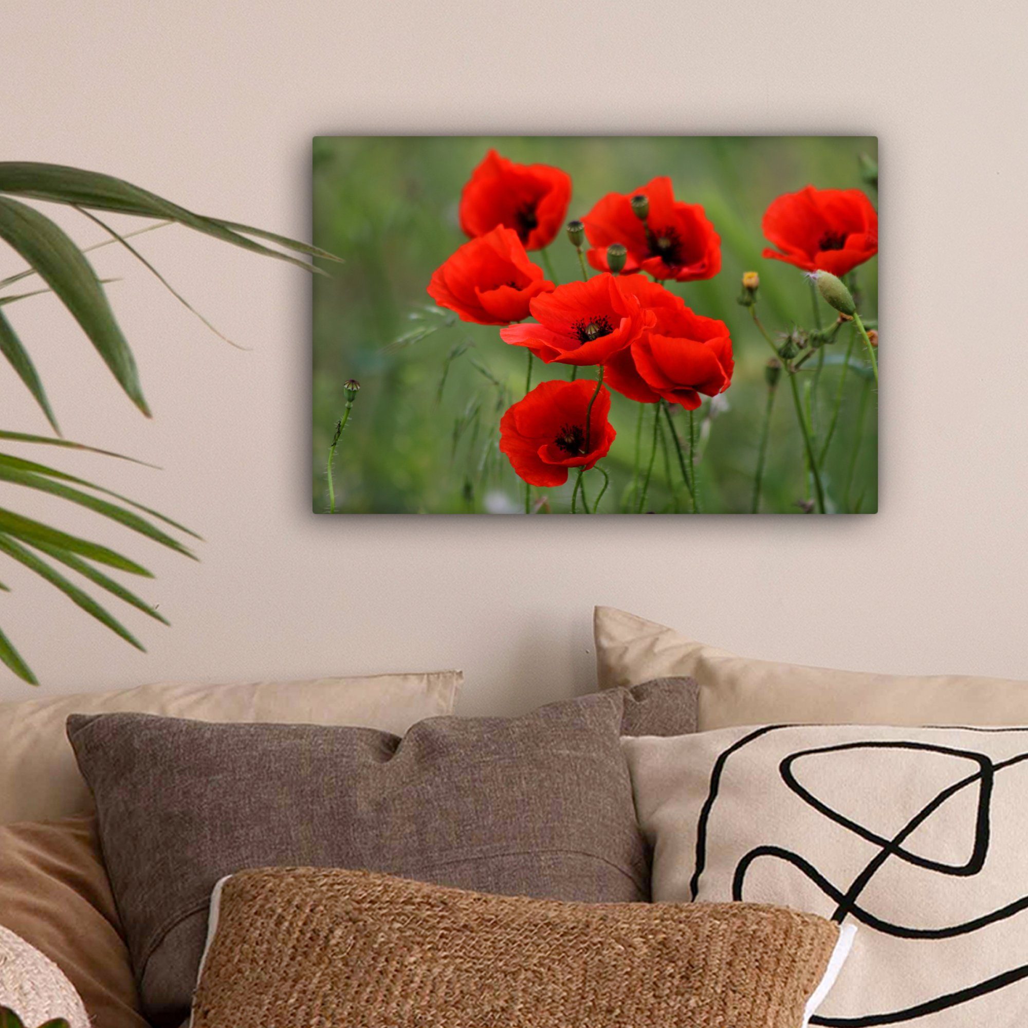 Mohn Leinwandbilder, Wanddeko, - OneMillionCanvasses® Aufhängefertig, - St), Rot, Wandbild Blumen (1 Leinwandbild 30x20 cm