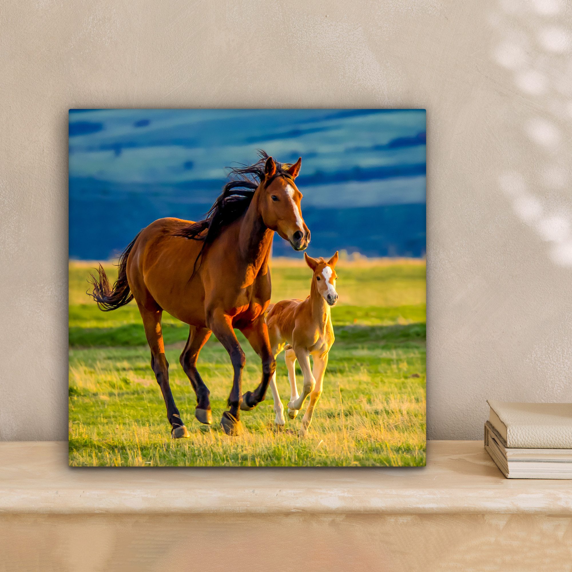 OneMillionCanvasses® Leinwandbild Pferde - Gras - günstig online kaufen
