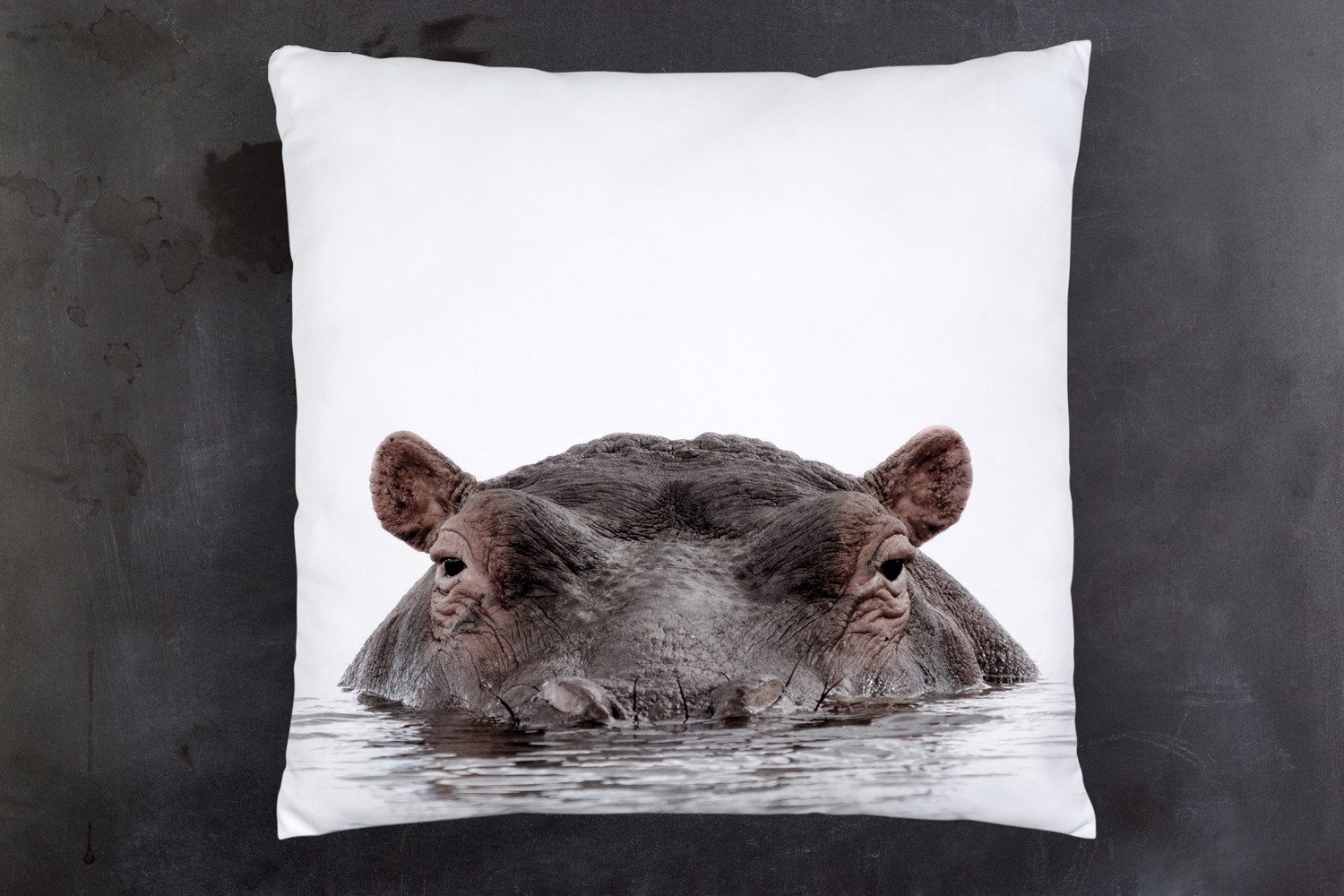 queence Dekokissen Flußpferd, Kissenhülle mit HD Premium Druck, geruchsneutral, 40x40cm