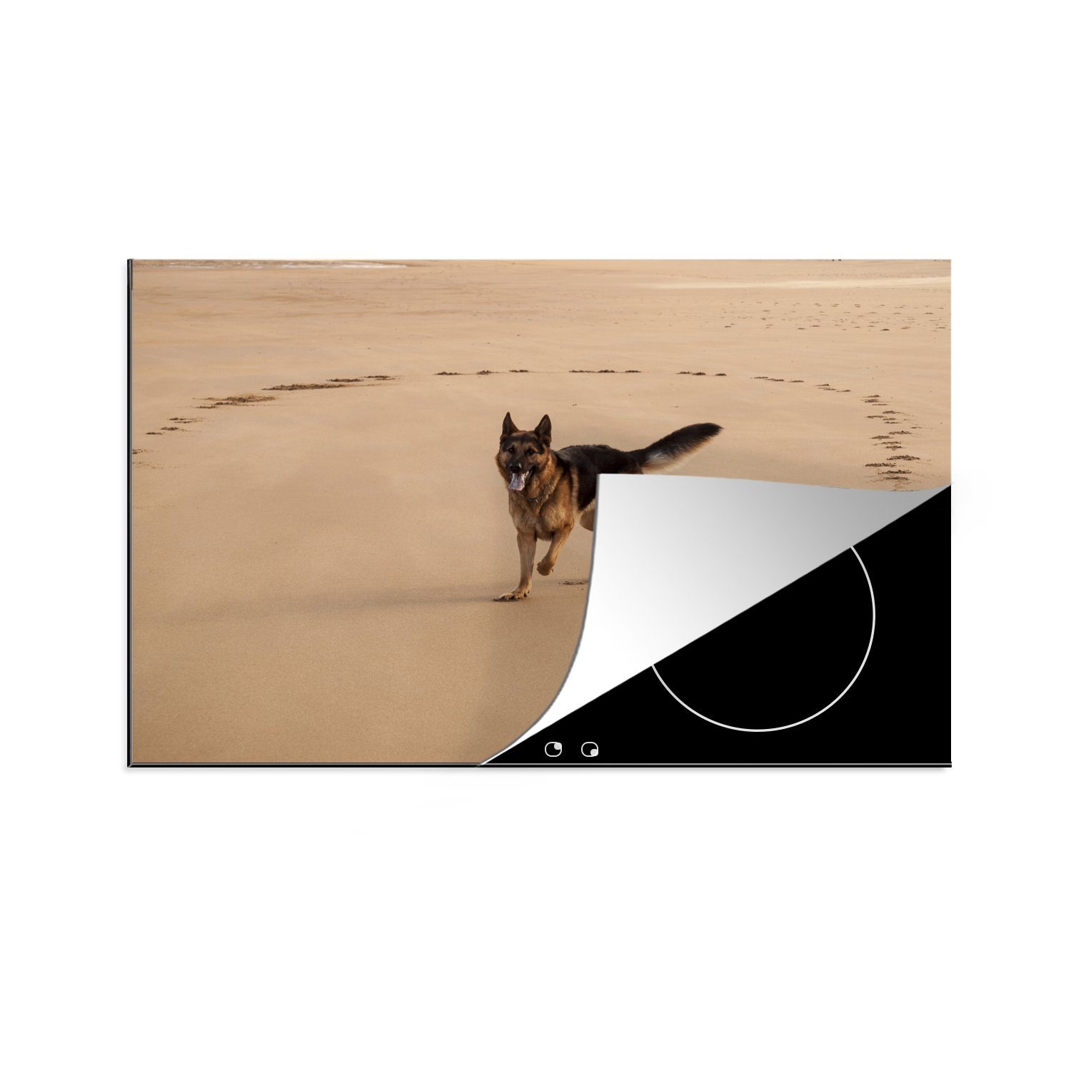 MuchoWow Herdblende-/Abdeckplatte Deutscher Schäferhund spielt am Strand, Vinyl, (1 tlg), 81x52 cm, Induktionskochfeld Schutz für die küche, Ceranfeldabdeckung