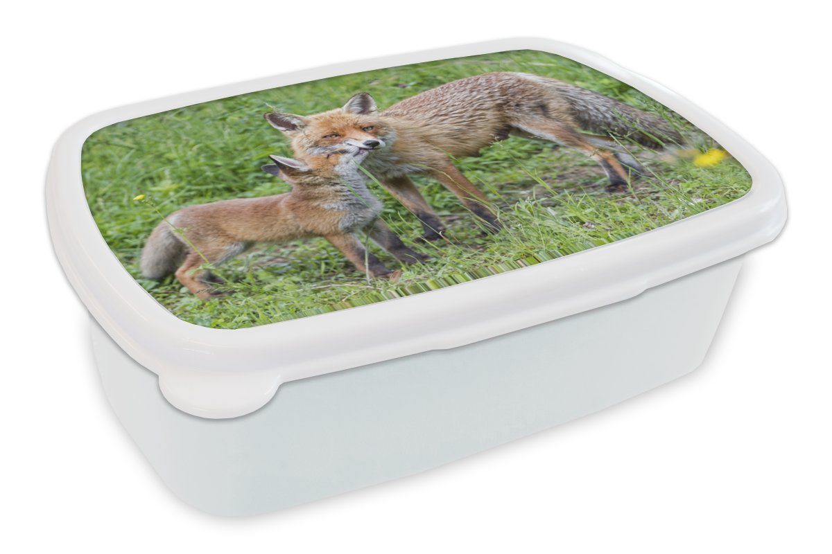 MuchoWow Lunchbox Füchse - Kind - Gras, Kunststoff, (2-tlg), Brotbox für Kinder und Erwachsene, Brotdose, für Jungs und Mädchen weiß