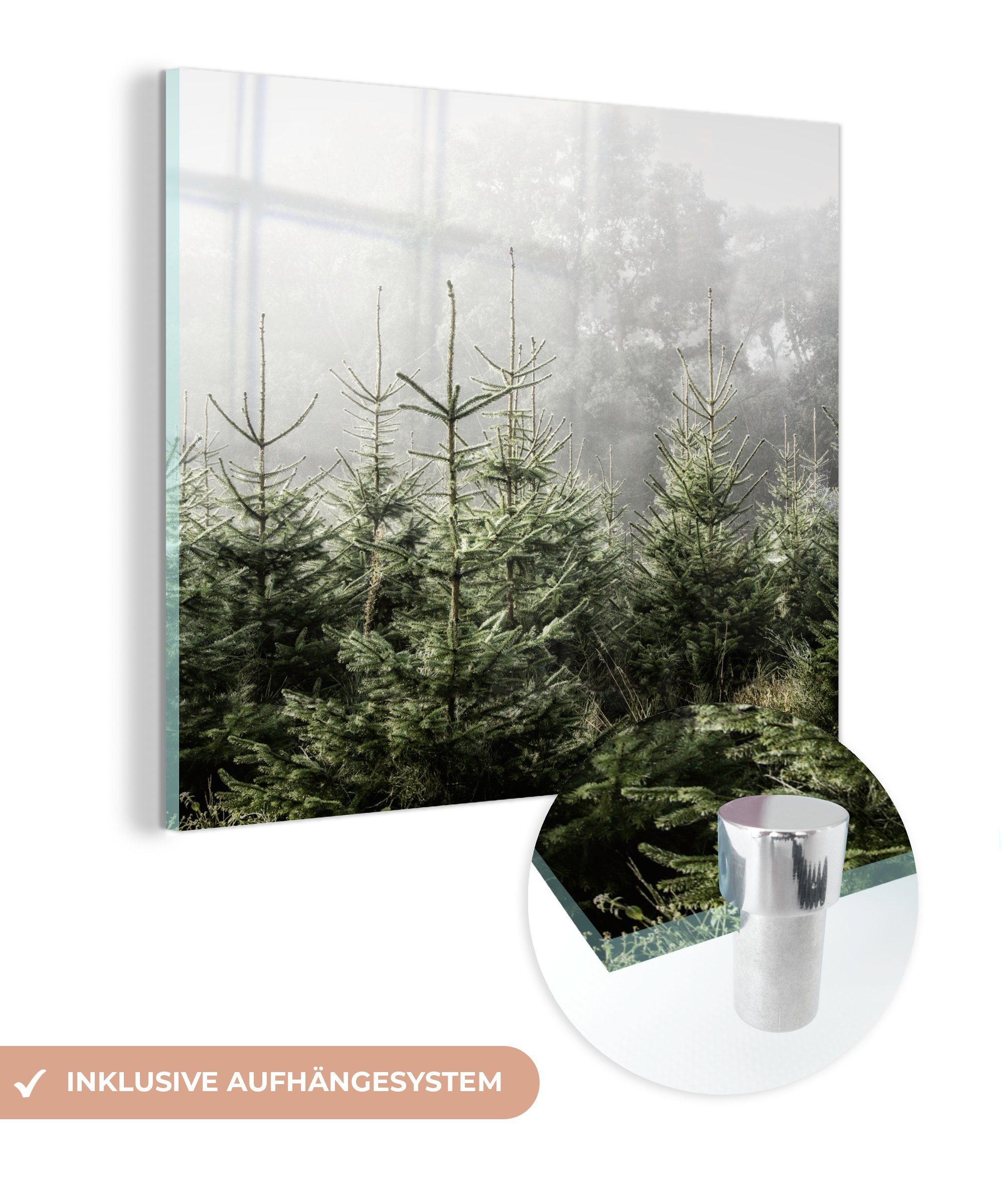 MuchoWow Acrylglasbild Nebel um einige Kiefern, (1 St), Glasbilder - Bilder auf Glas Wandbild - Foto auf Glas - Wanddekoration | Bilder