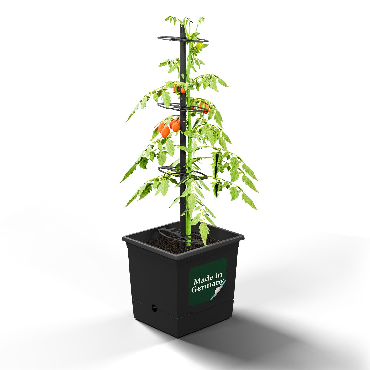 VERDOBA Pflanzkübel Nachhaltiger Tomatentopf Tomaten Anzuchtset günstig online kaufen