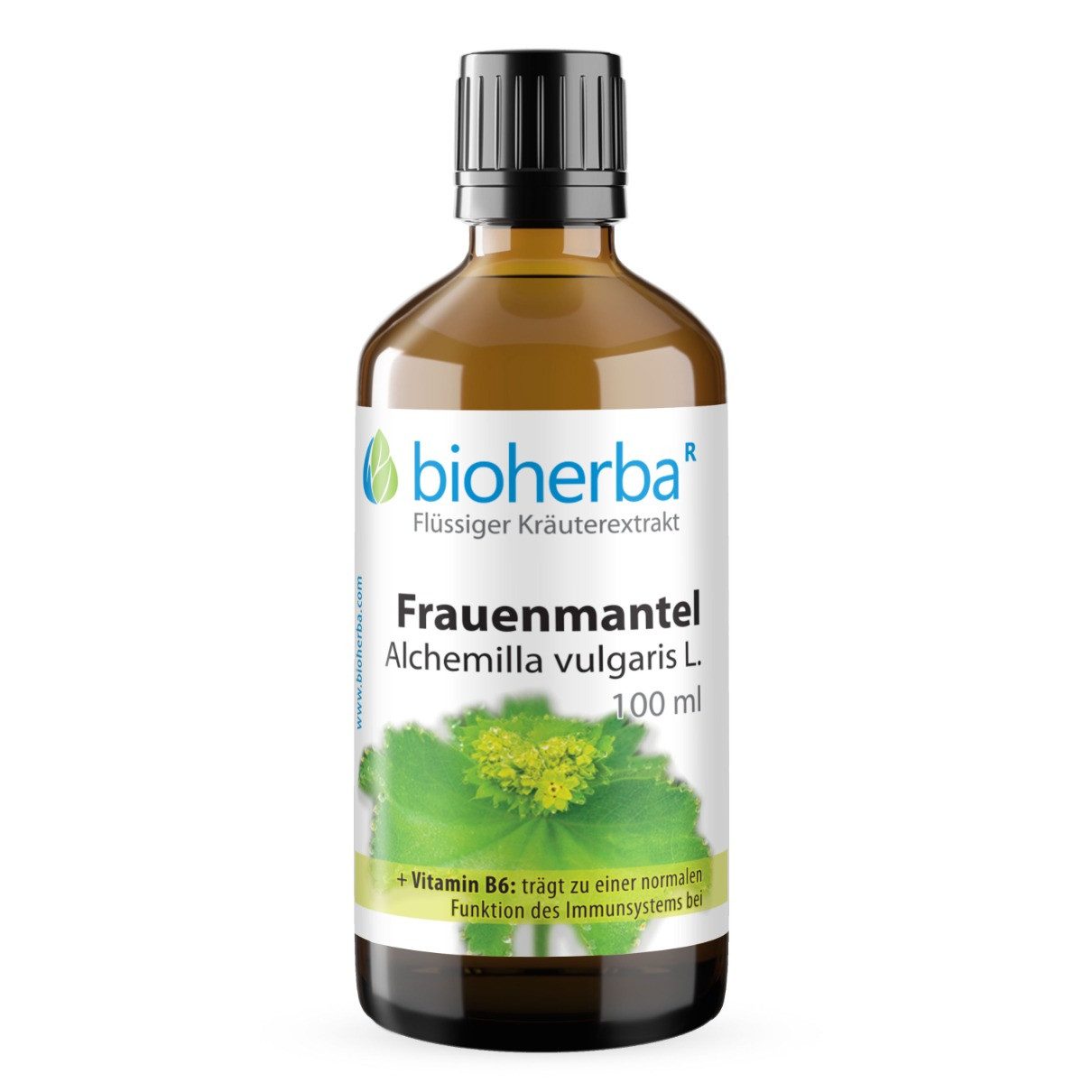 BIOHERBA R Bioherba Frauenmantel Alchemilla vulgaris L. Tropfen Tinktur 100 ml Nahrungsergänzungsmittel, 1 er