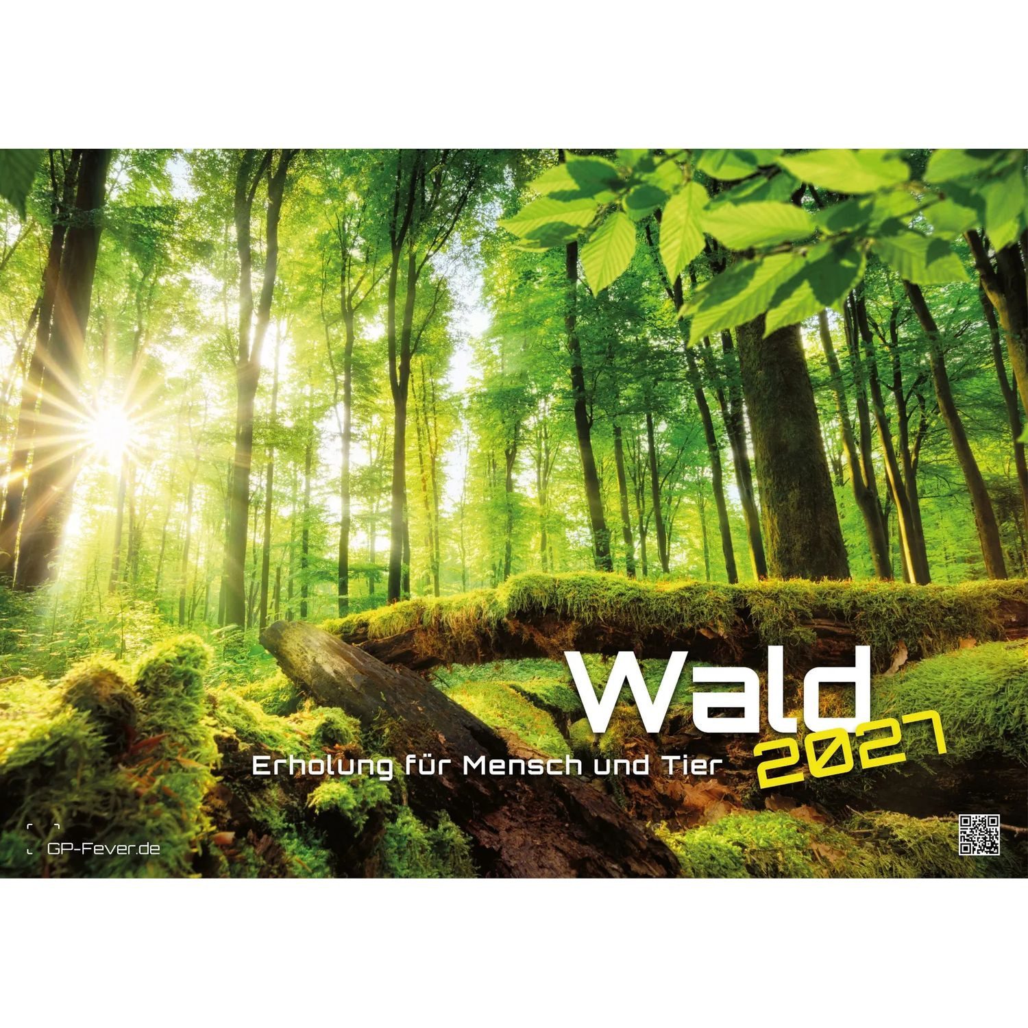 Wandkalender Wald - Erholung für Mensch und Tier - 2027 - Kalender DIN A3