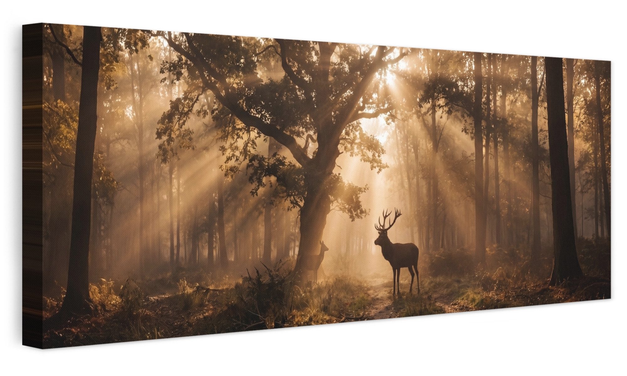 OneMillionCanvasses® Leinwandbild Panorama Hirsch - Wald - Neblig - Natur - Gold, Fotodruck (1 St), Wandbild, Deko Schlafzimmer Wohnzimmer …