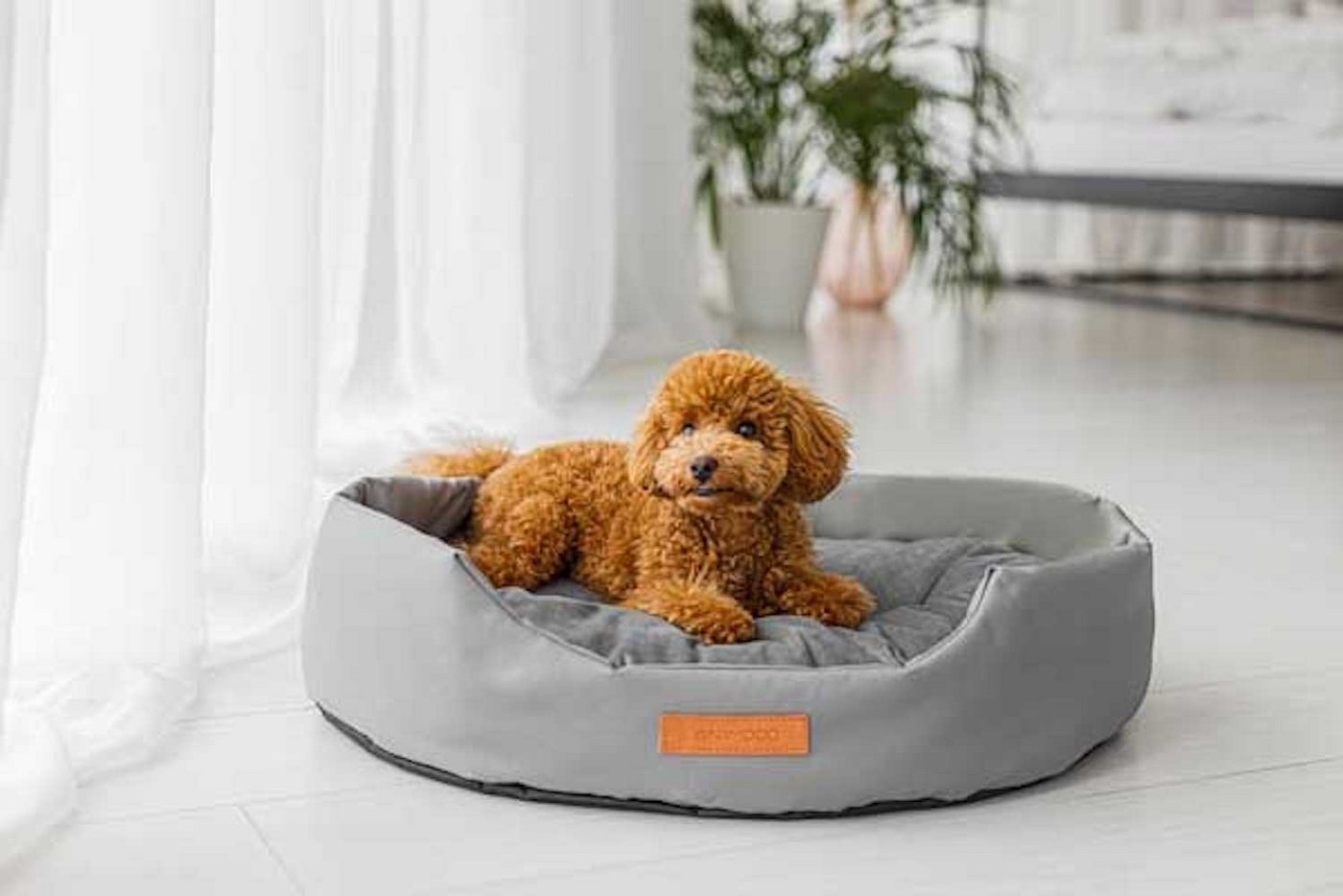 Thumbnail - Animood Tierbett Mia, Velour / Cordura 100% Polyester, Farbe wahlweise in beige oder braun, Größe wählbar aus M oder L