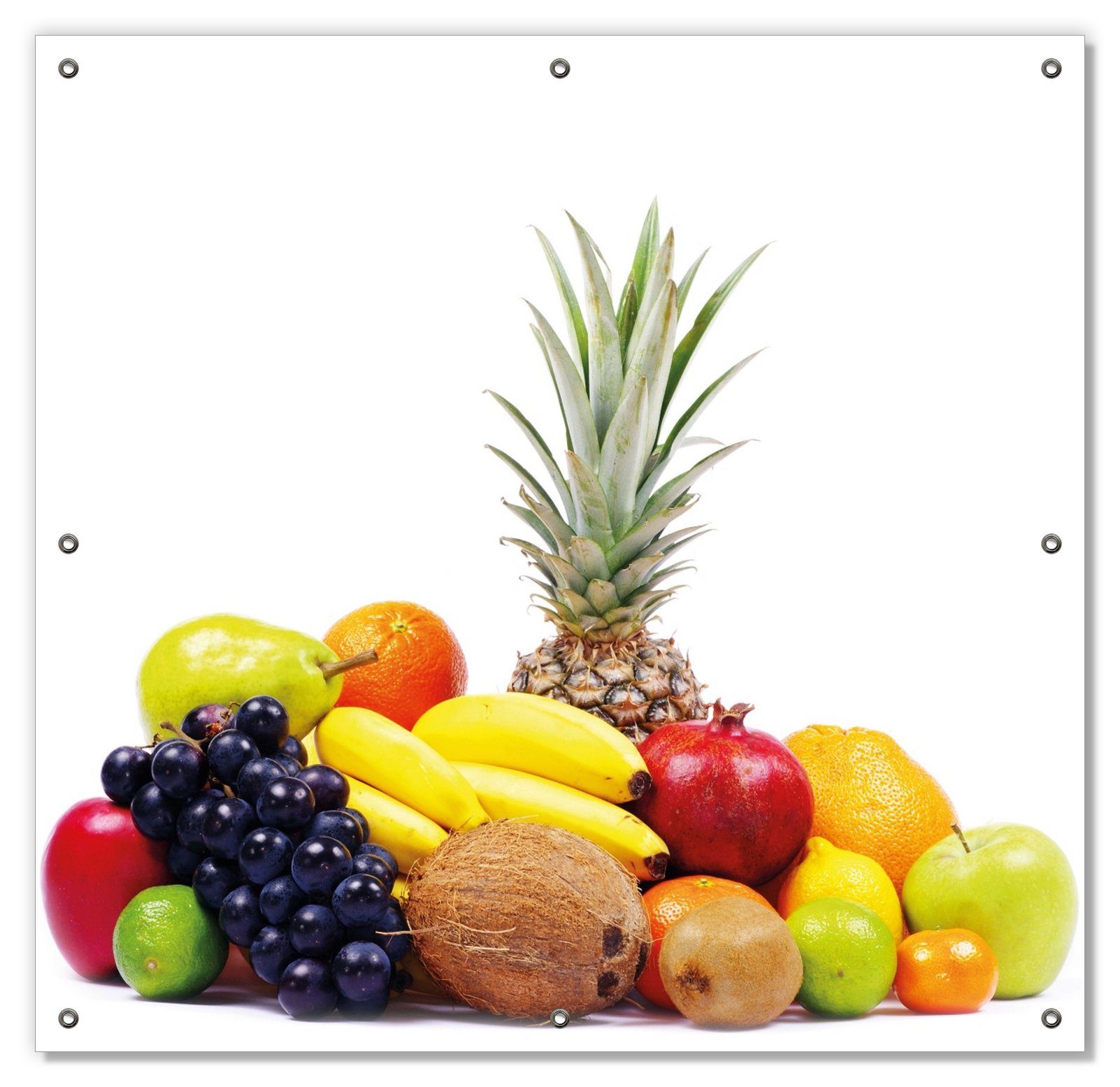 Sonnenschutz Gemischtes Obst aus aller Welt - Exotische Obstsammlung, Wallario, blickdicht, mit Saugnäpfen, wiederablösbar und wiederverwendbar