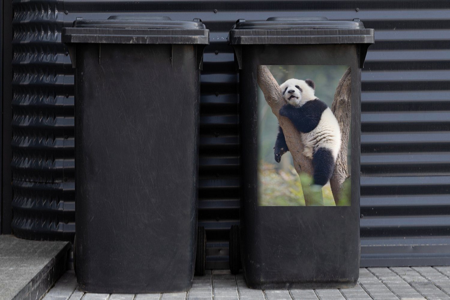 MuchoWow Wandsticker Schlafendes Pandabärenjunges Abfalbehälter St), (1 Mülleimer-aufkleber, Sticker, Container, Mülltonne