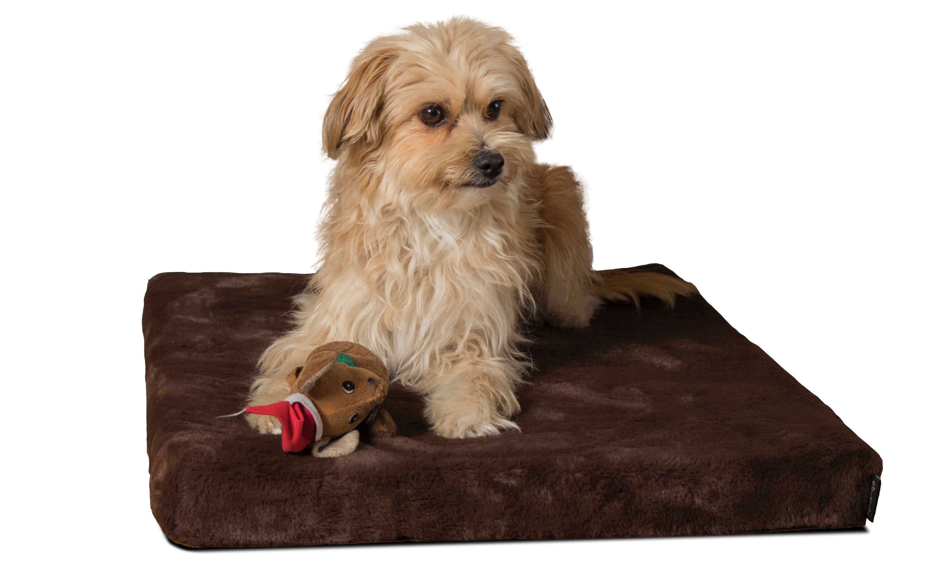 TrendPet Tiermatratze VitaMedog Braun - orthopädische Matratze, 5cm günstig online kaufen