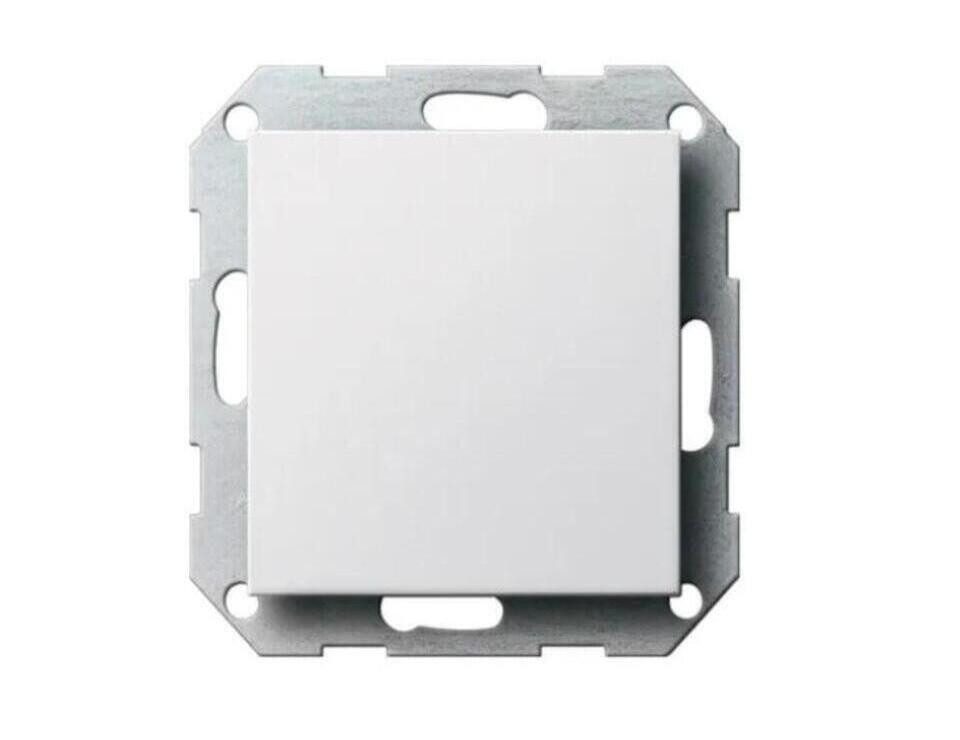 GIRA Schalter GIRA 026803 Blindabdeckung Tragring System 55 Reinweiß glänzend