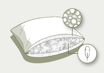 3-Kammer-Kopfkissen Fleur, fjödur, Füllung: Außen: 50% Daunen % 50 %Federn, Innenkern aus Federn, Bezug: Bio-Baumwolle, Das Kissen gibt es in den Größen 40 x 80 und 80 x 80 cm.