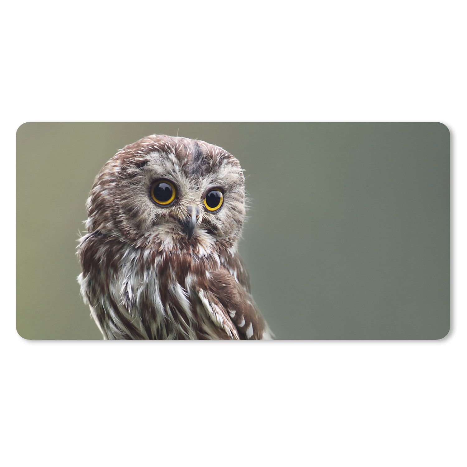 MuchoWow Mauspad Nahaufnahme einer kleinen Eule (1-St), Mousepad mit Rutschfester Unterseite, Gaming XXL, Großes, 120x60 cm