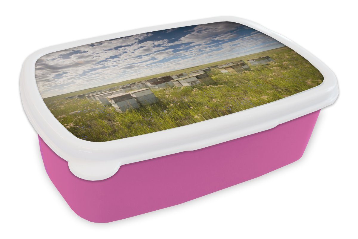 MuchoWow Lunchbox Bienen - Blume - Himmel, Kunststoff, (2-tlg), Brotbox für Erwachsene, Brotdose Kinder, Snackbox, Mädchen, Kunststoff rosa