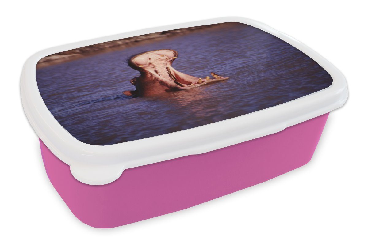 MuchoWow Lunchbox Nilpferd - Wasser - Schnabel, Kunststoff, (2-tlg), Brotbox für Erwachsene, Brotdose Kinder, Snackbox, Mädchen, Kunststoff rosa