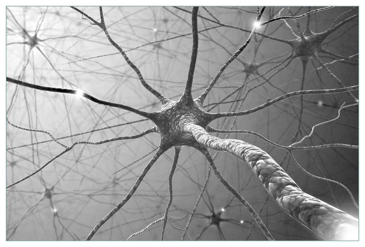 Wallario Küchenrückwand Menschliche Nervenzelle - schwarz weiß, (1-tlg)