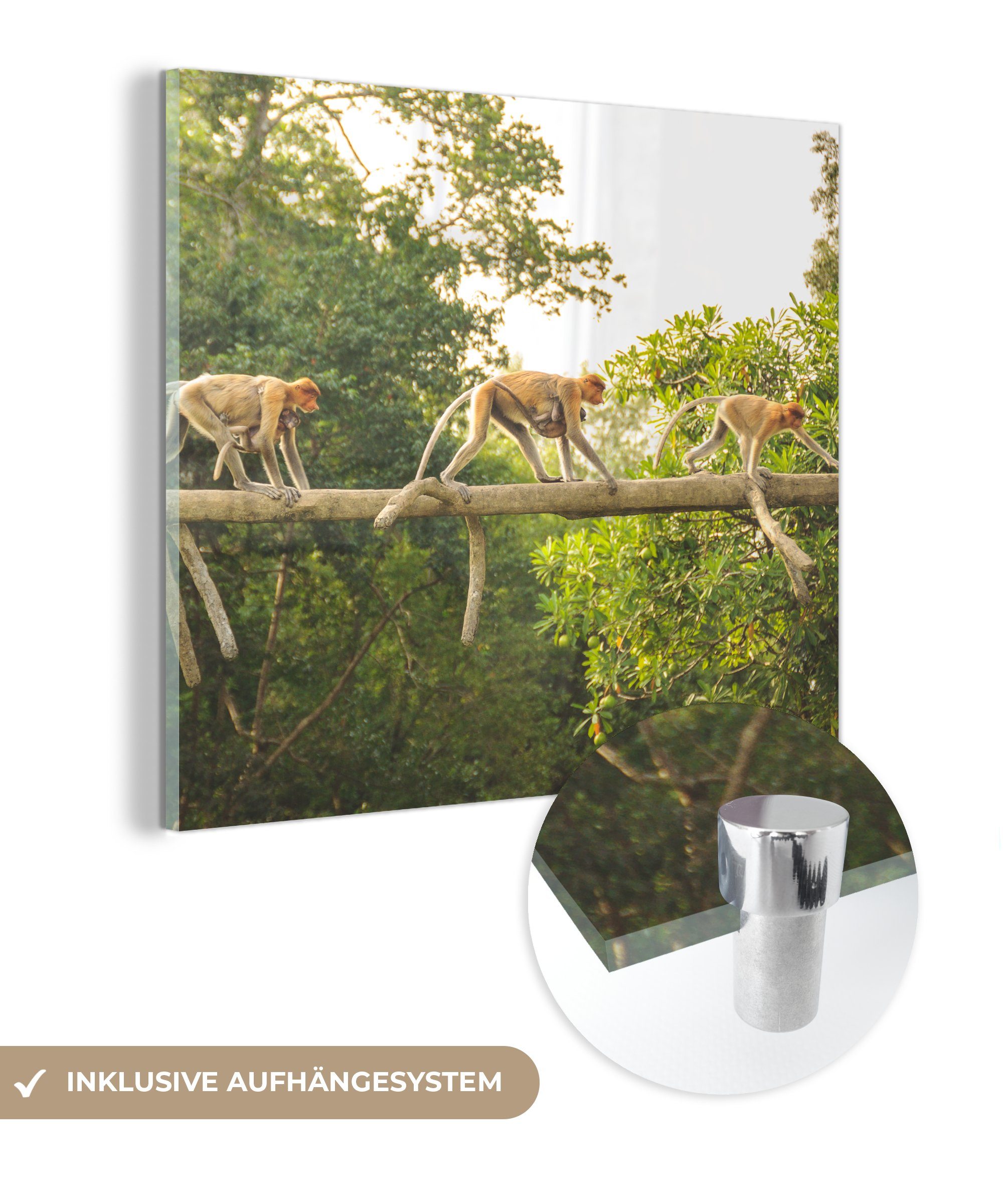 MuchoWow Acrylglasbild Affen laufen auf Ast, (1 St), Glasbilder - Bilder auf Glas Wandbild - Foto auf Glas - Wanddekoration
