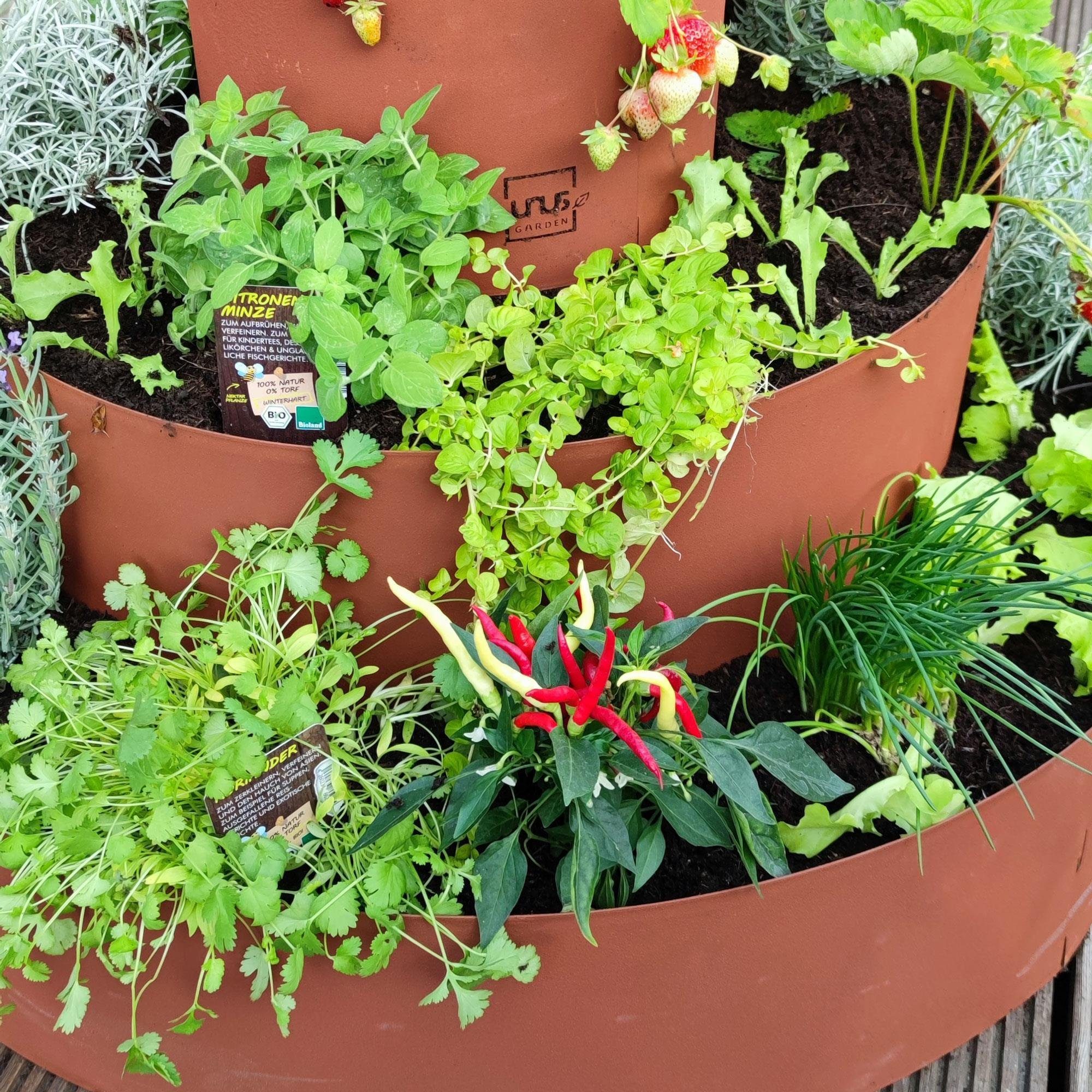 UNUS GARDEN Hochbeet Kräuterschnecke Rostoptik, Kräuterspirale Kräuterpyramide Pflanzring – Bild 4 von 5