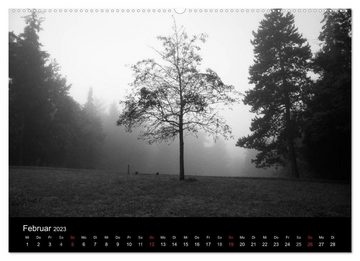 CALVENDO Wandkalender Bäume trees 2023 (Premium, hochwertiger DIN A2 Wandkalender 2023, Kunstdruck in Hochglanz)