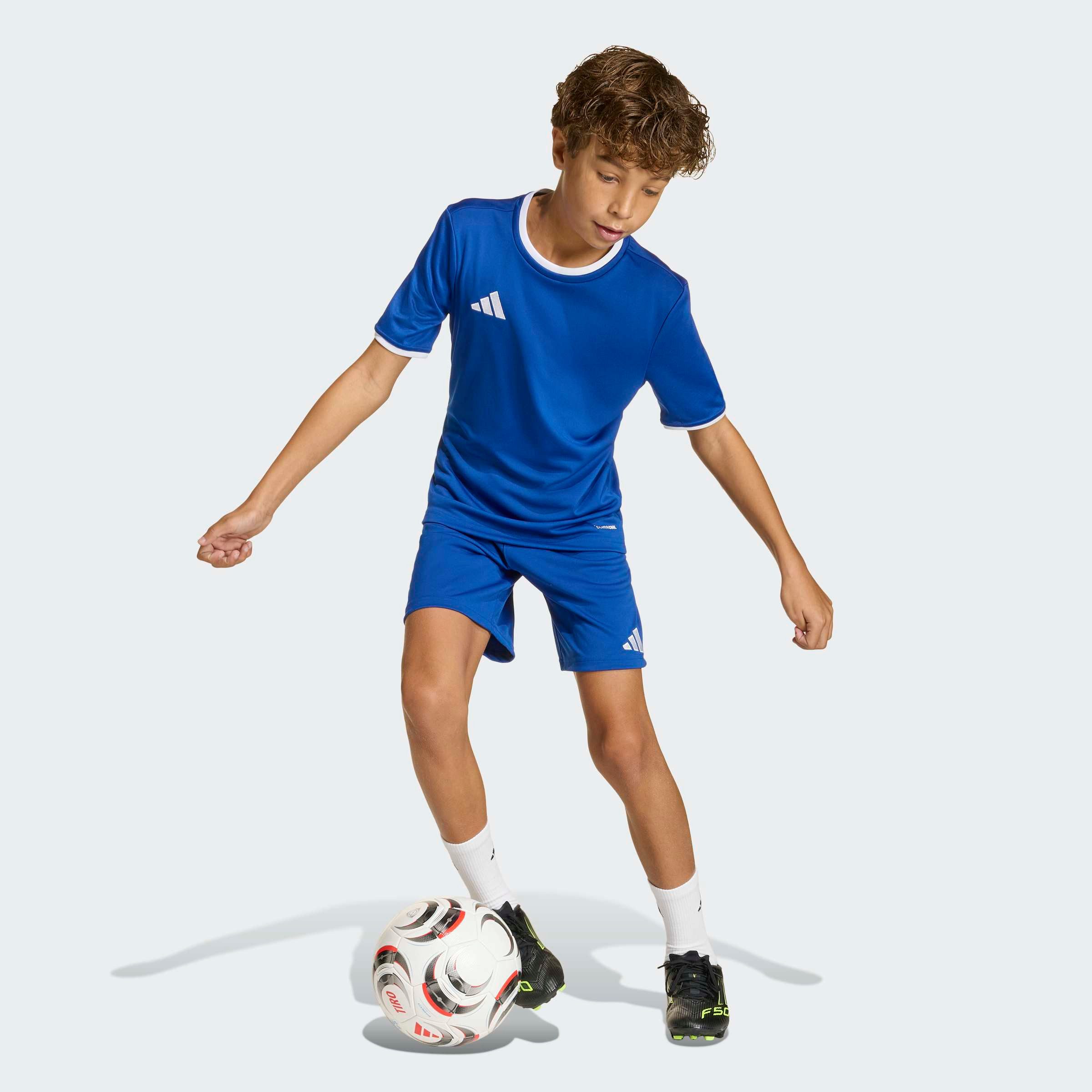 adidas Performance Trainingsshorts ENTRADA26 KIDS – Bild 5 von 5
